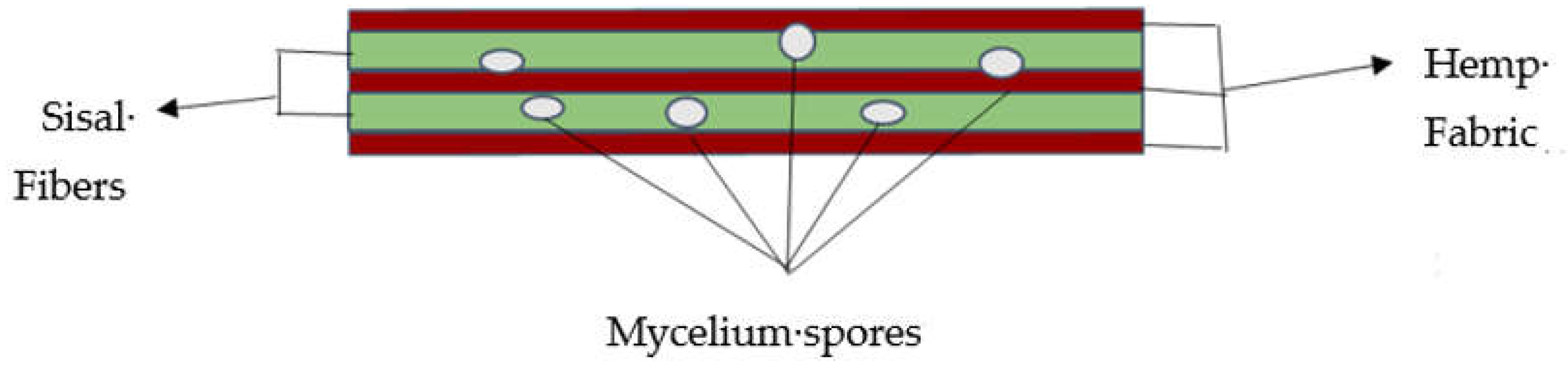 Preprints 158560 g003