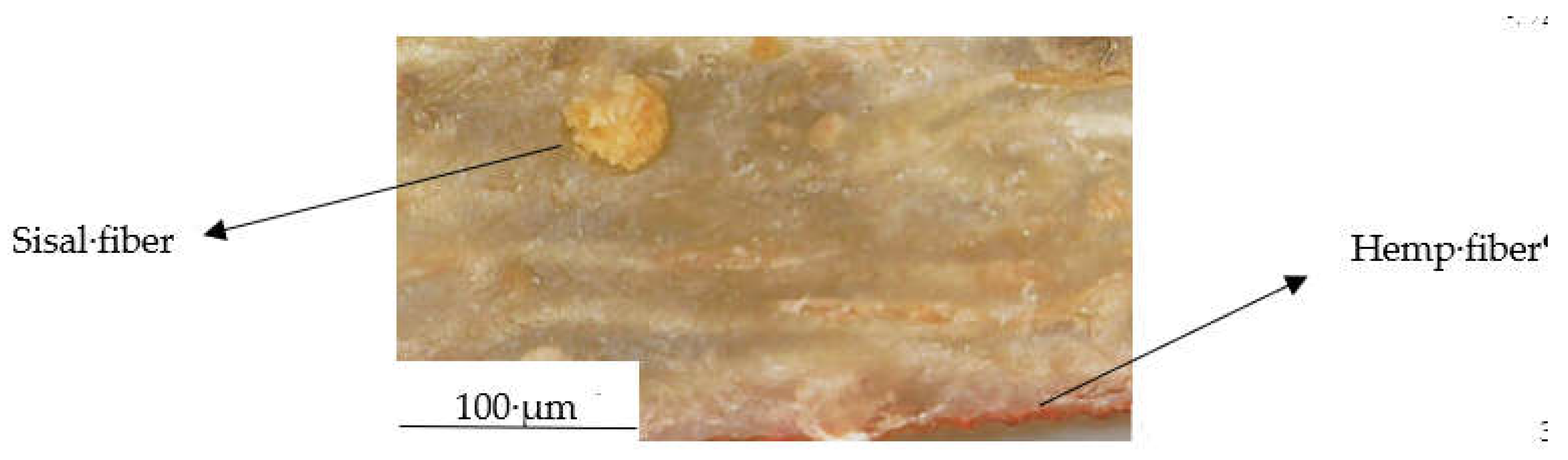 Preprints 158560 g015