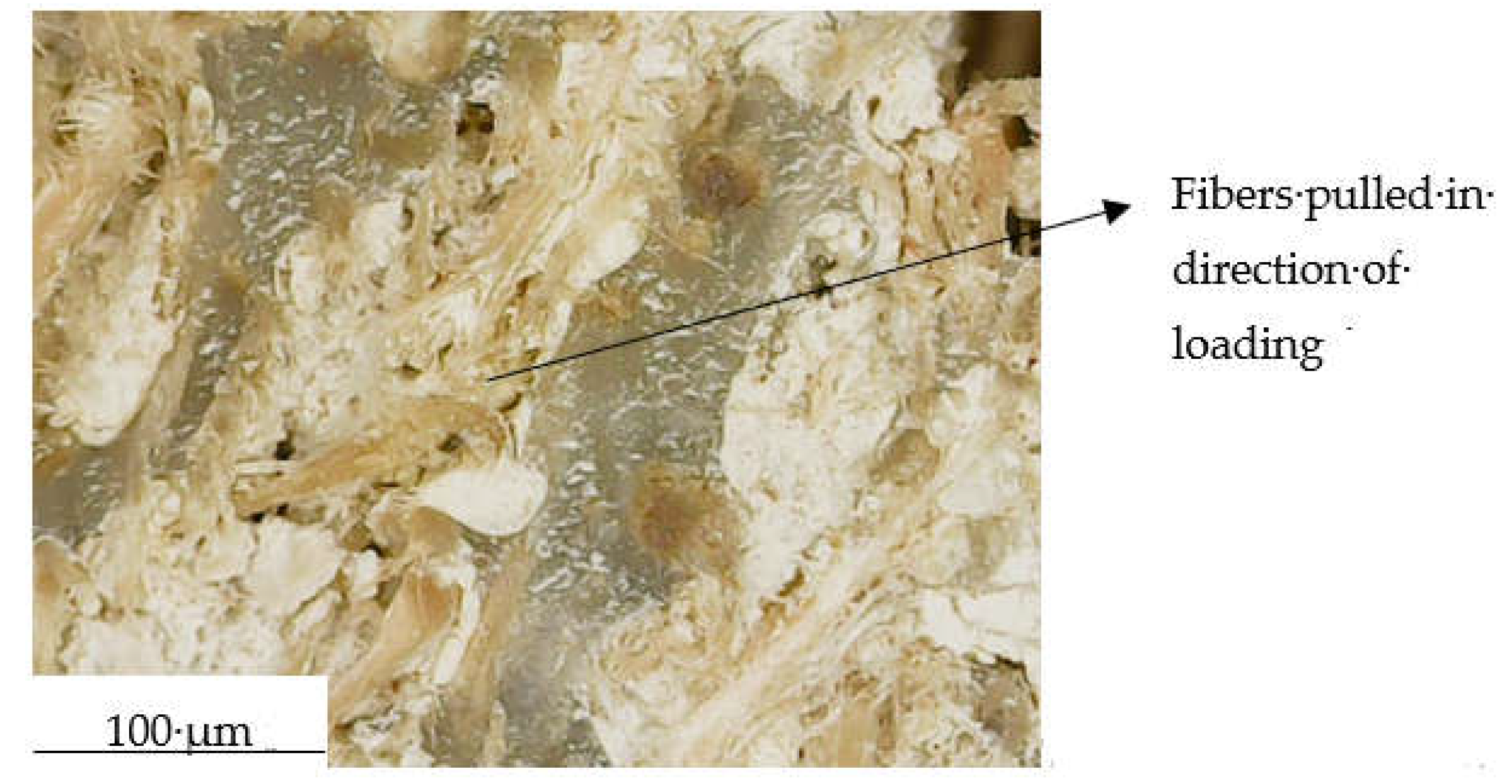Preprints 158560 g018