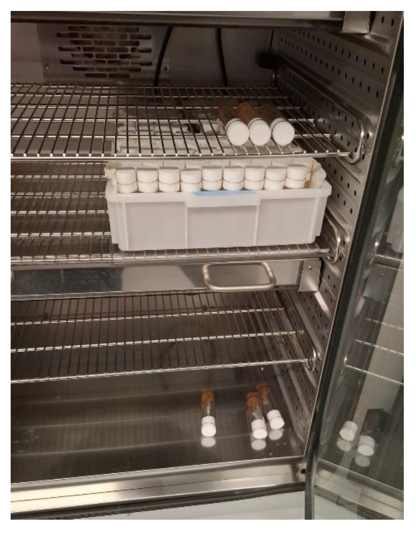 Preprints 149926 g001