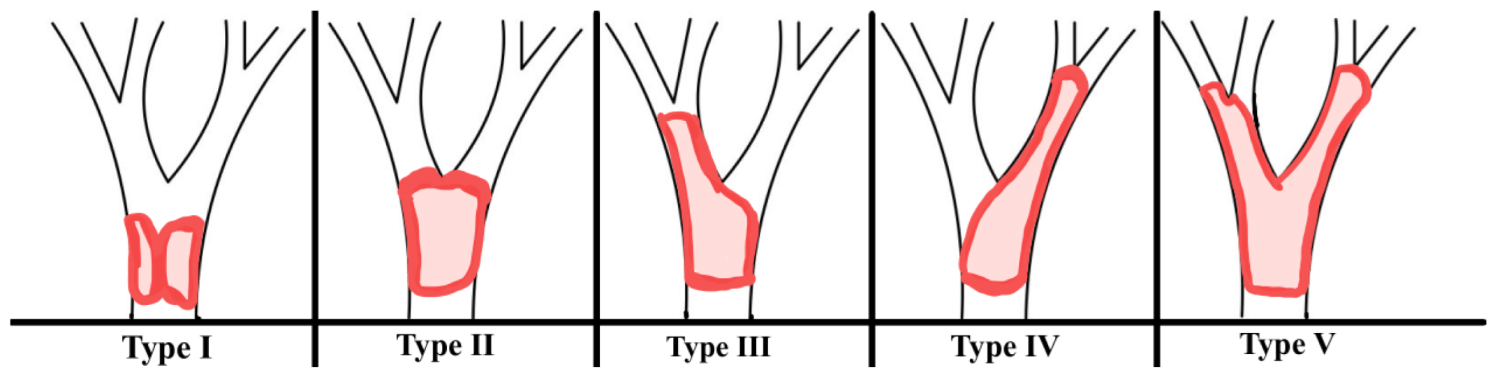 Preprints 186668 g001