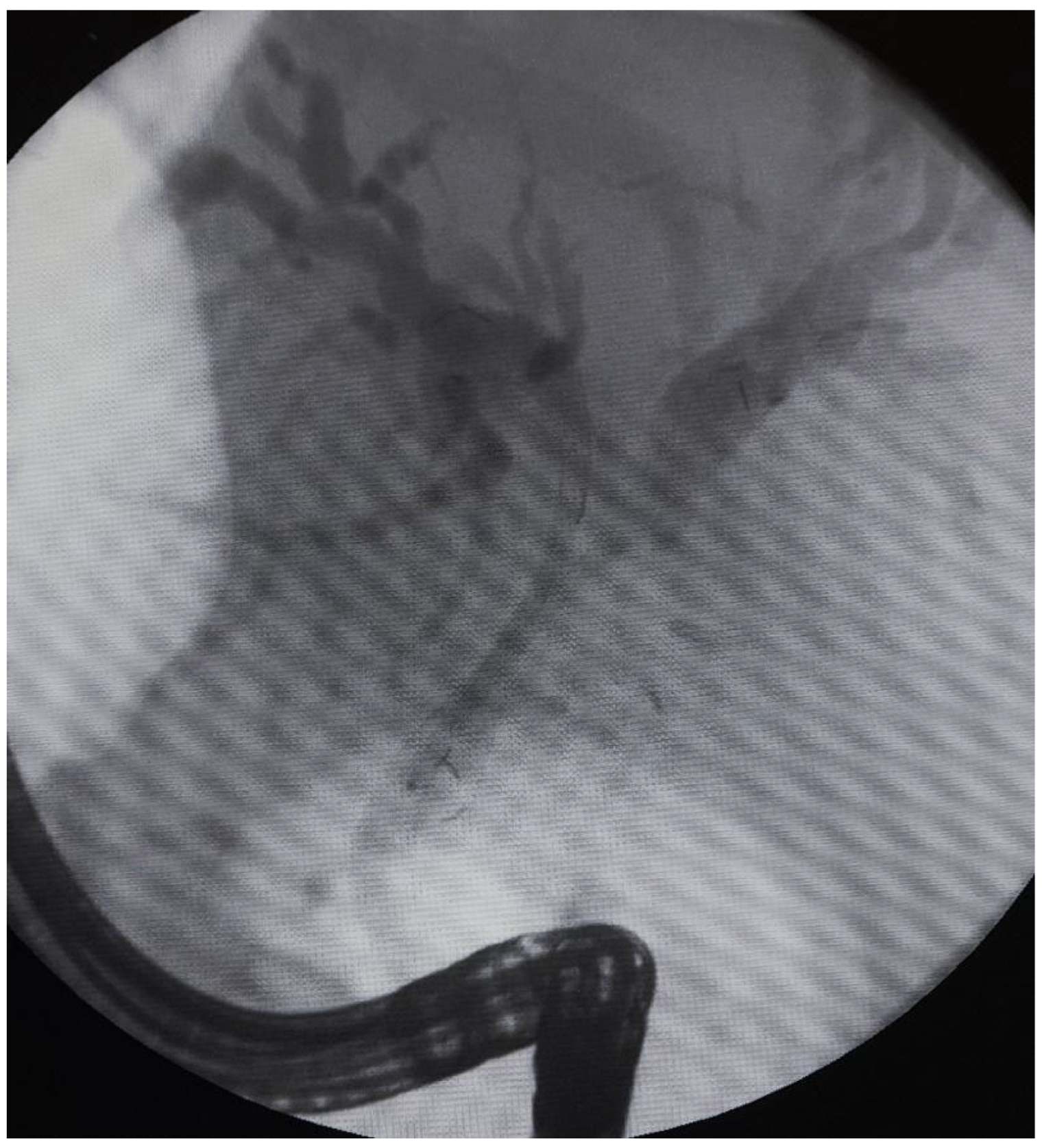 Preprints 186668 g003