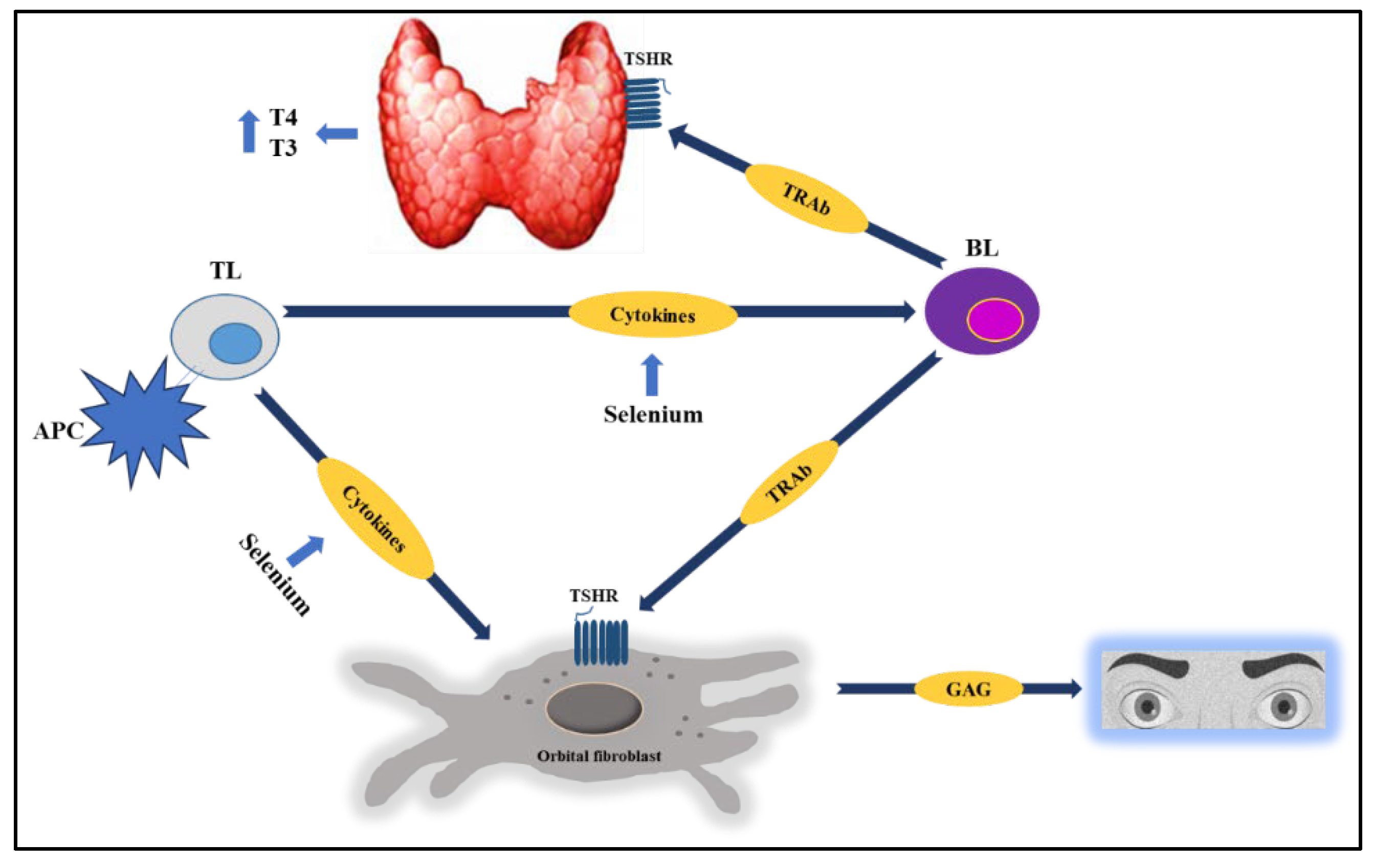 Preprints 176558 g002