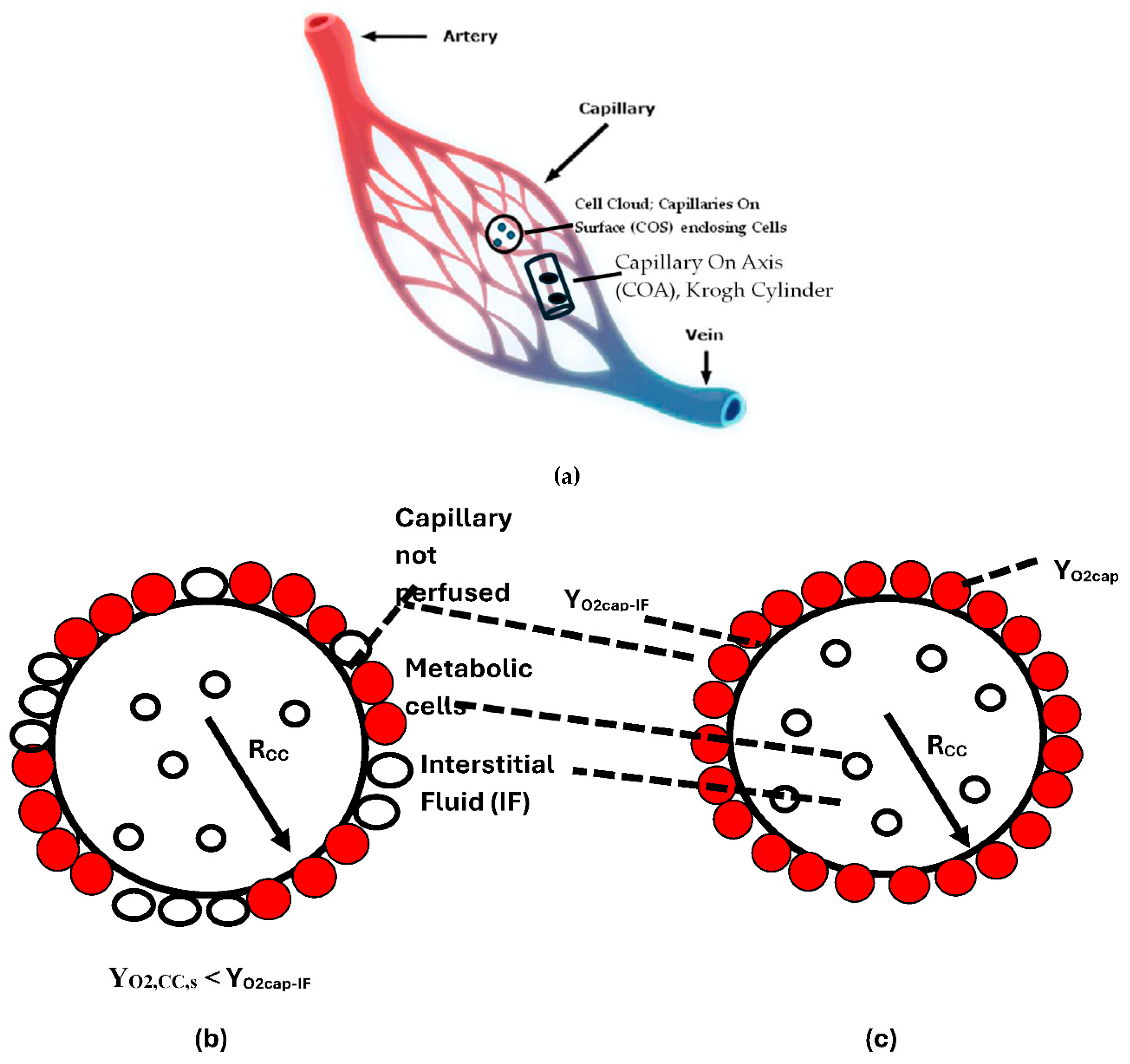 Preprints 151313 g003