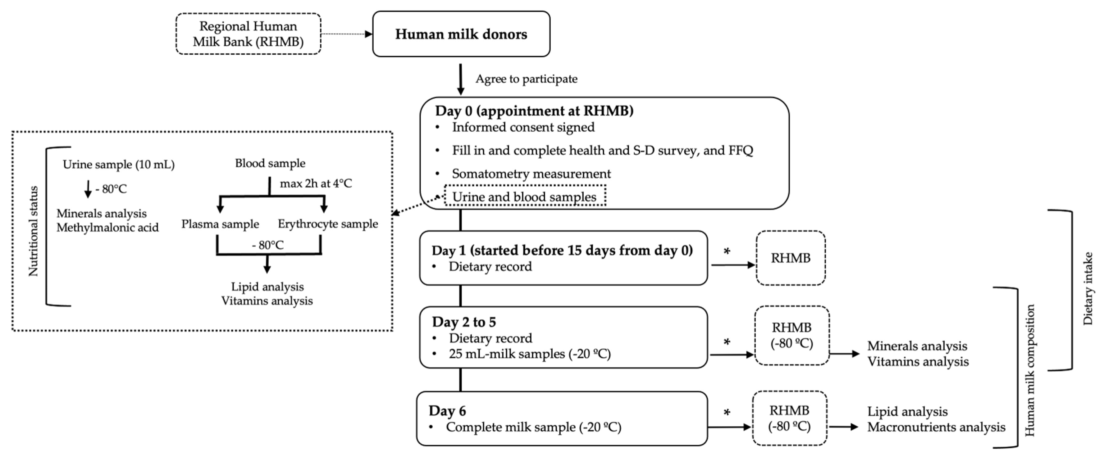 Preprints 77328 g001
