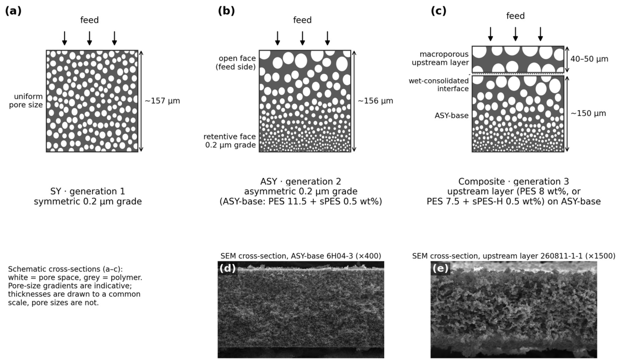 Preprints 233609 g001 Preprints 233609 g001