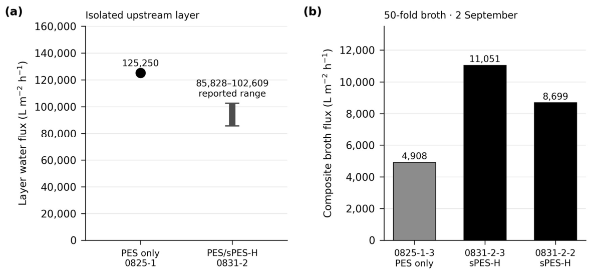 Preprints 233609 g006 Preprints 233609 g006