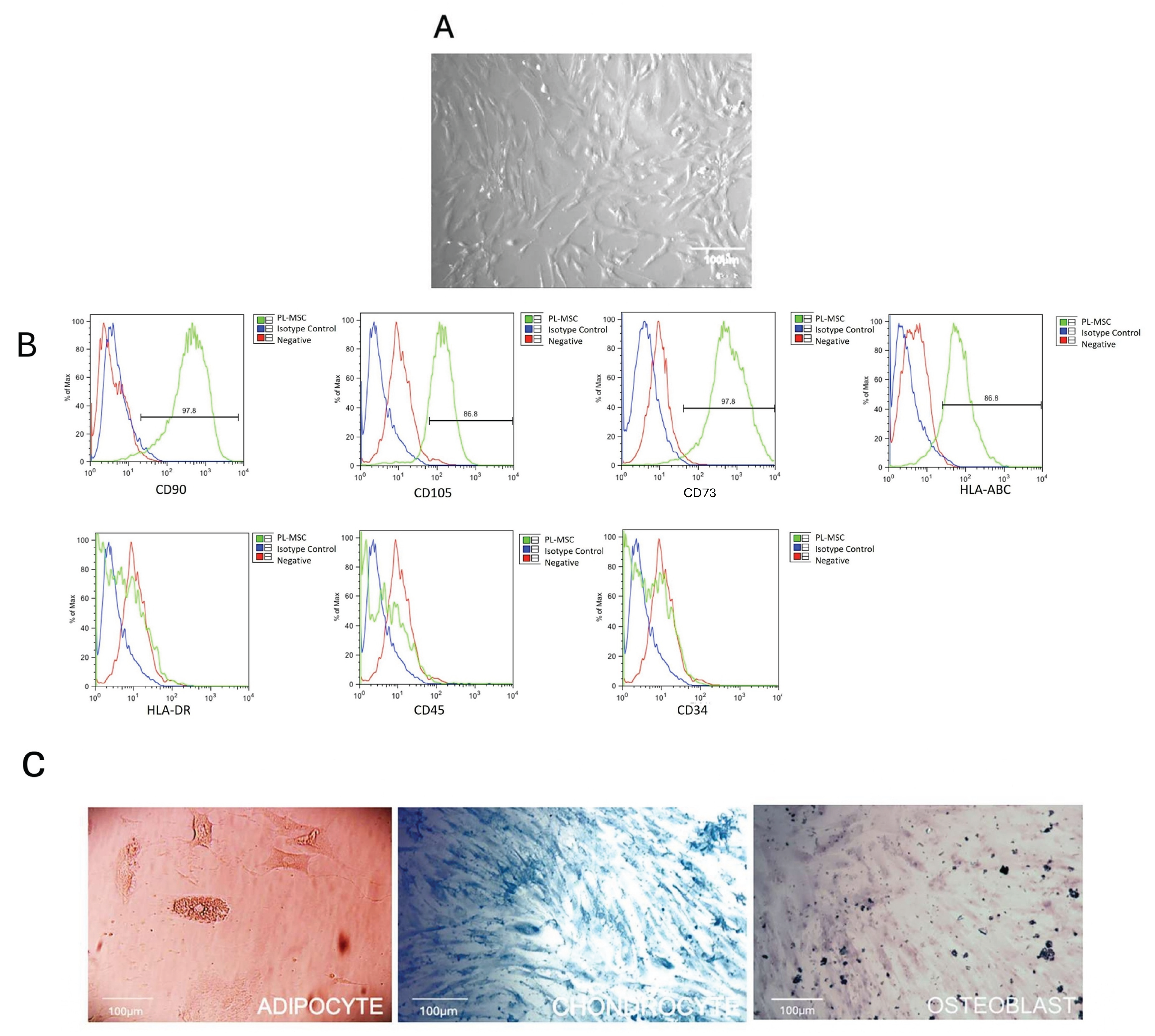 Preprints 175048 g001