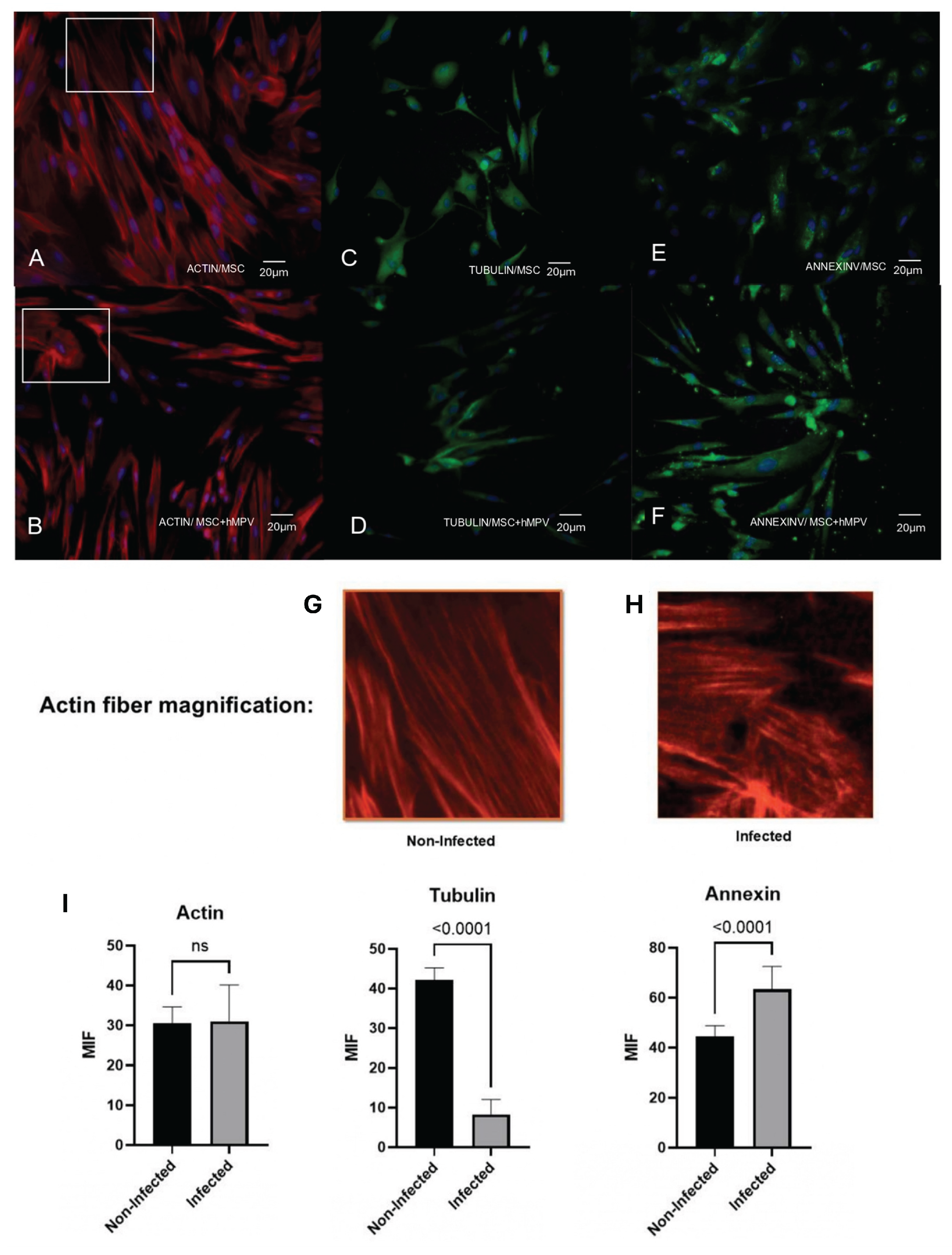 Preprints 175048 g003