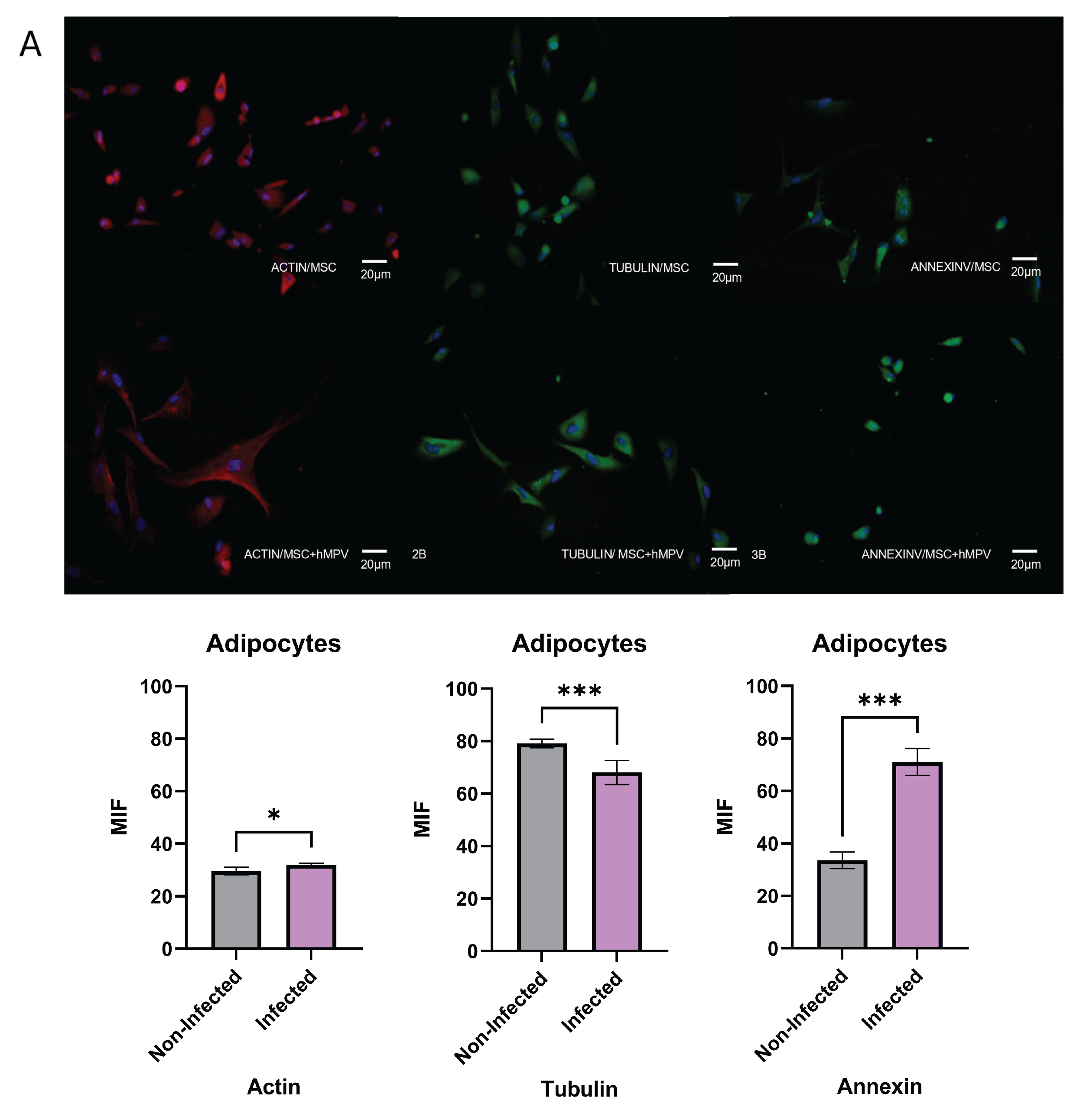 Preprints 175048 g005a