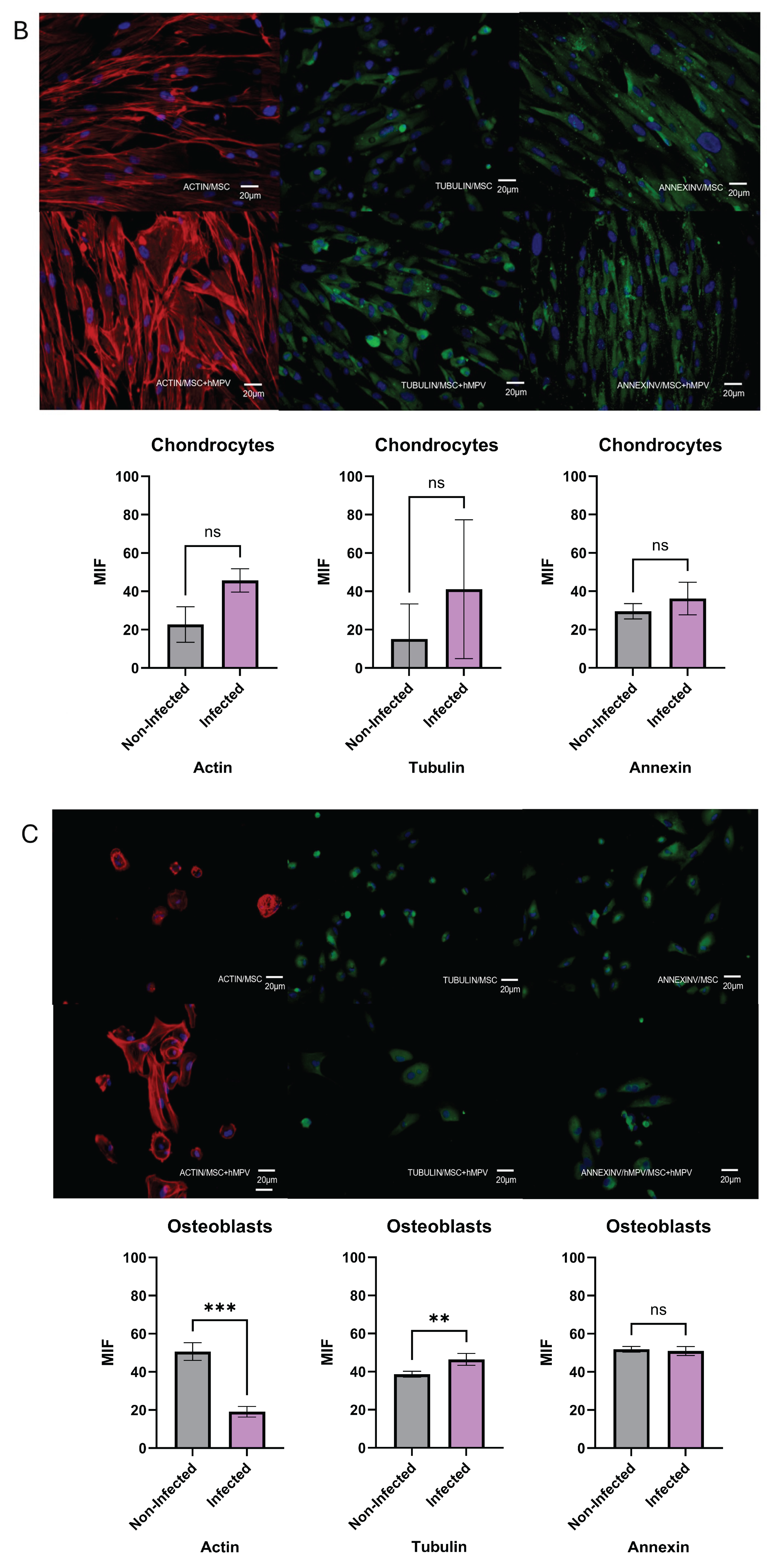 Preprints 175048 g005b