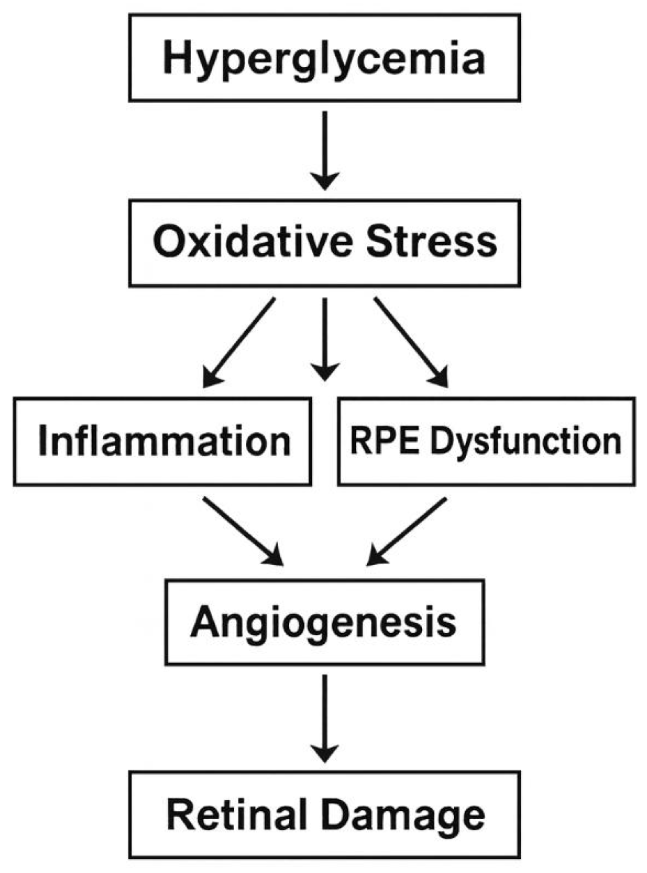 Preprints 178231 g001