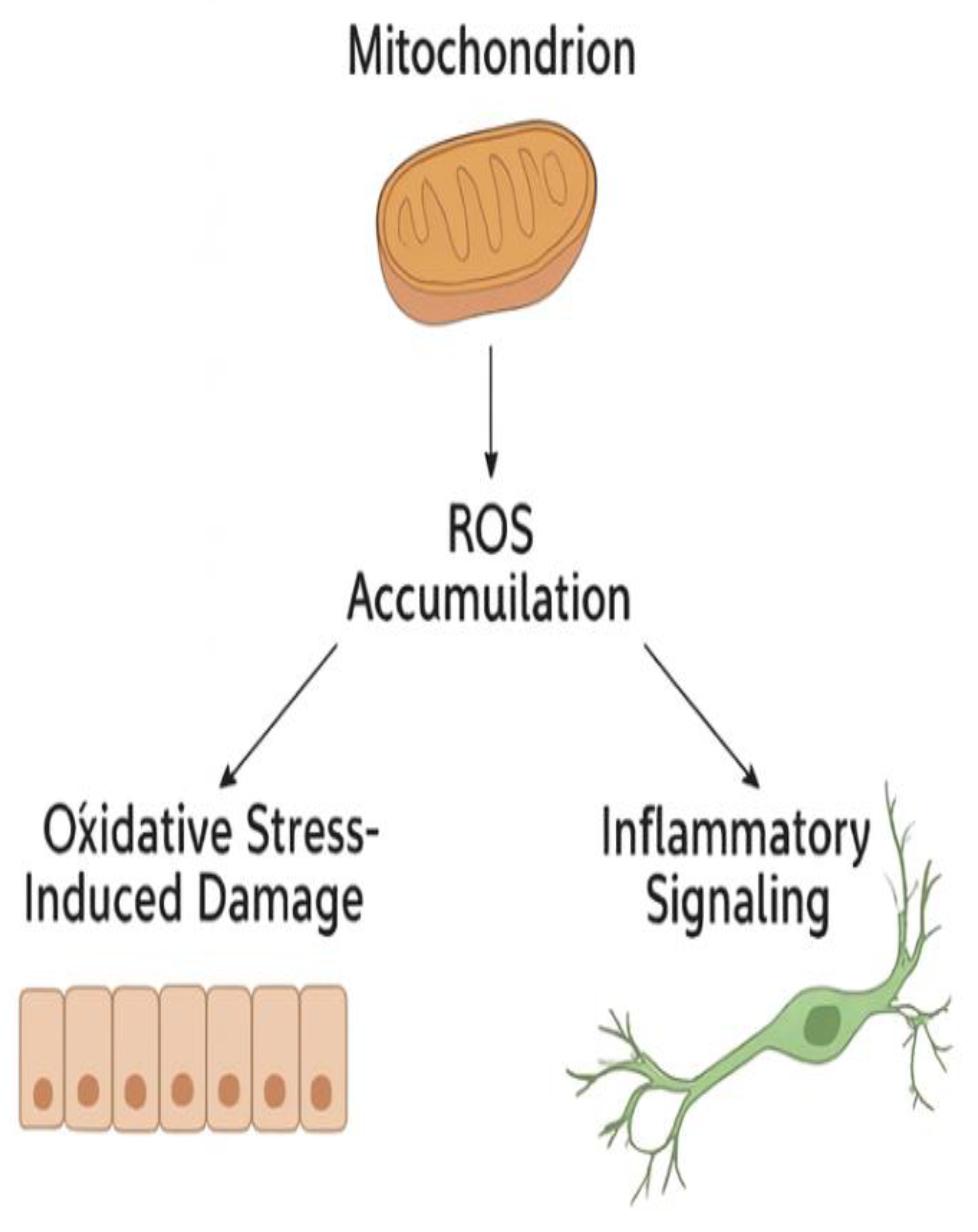 Preprints 178231 g002