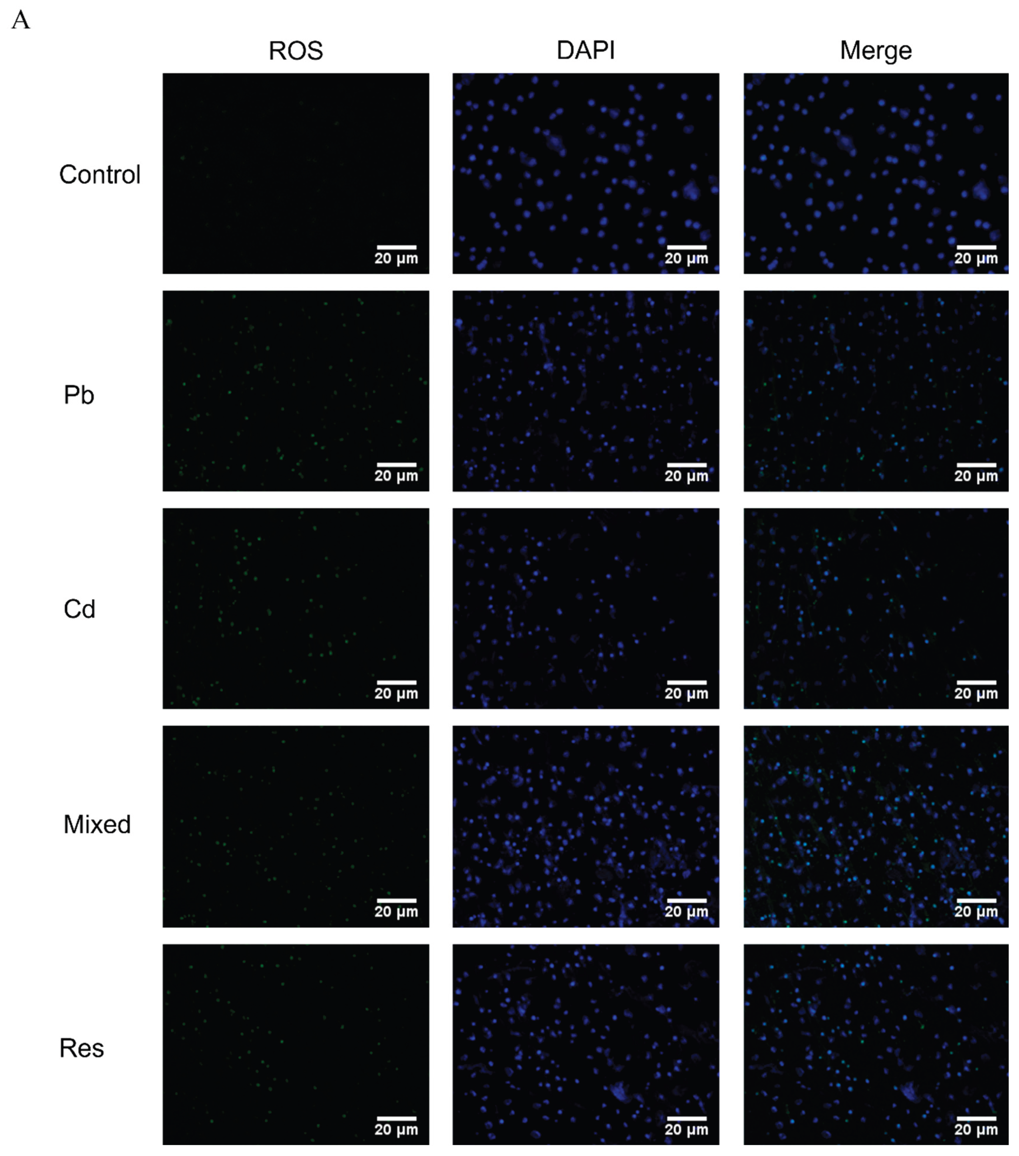 Preprints 198169 g002a