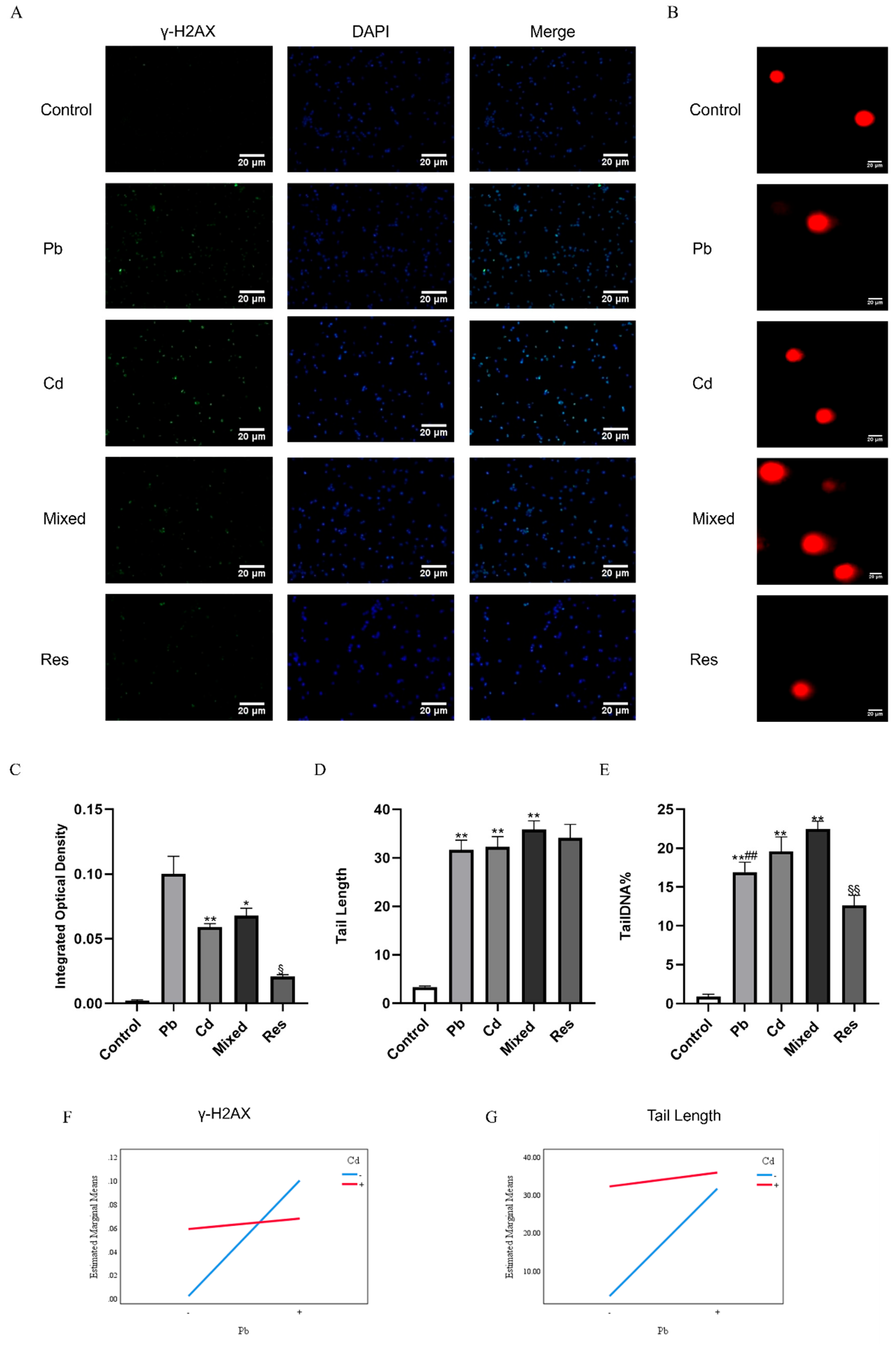 Preprints 198169 g003