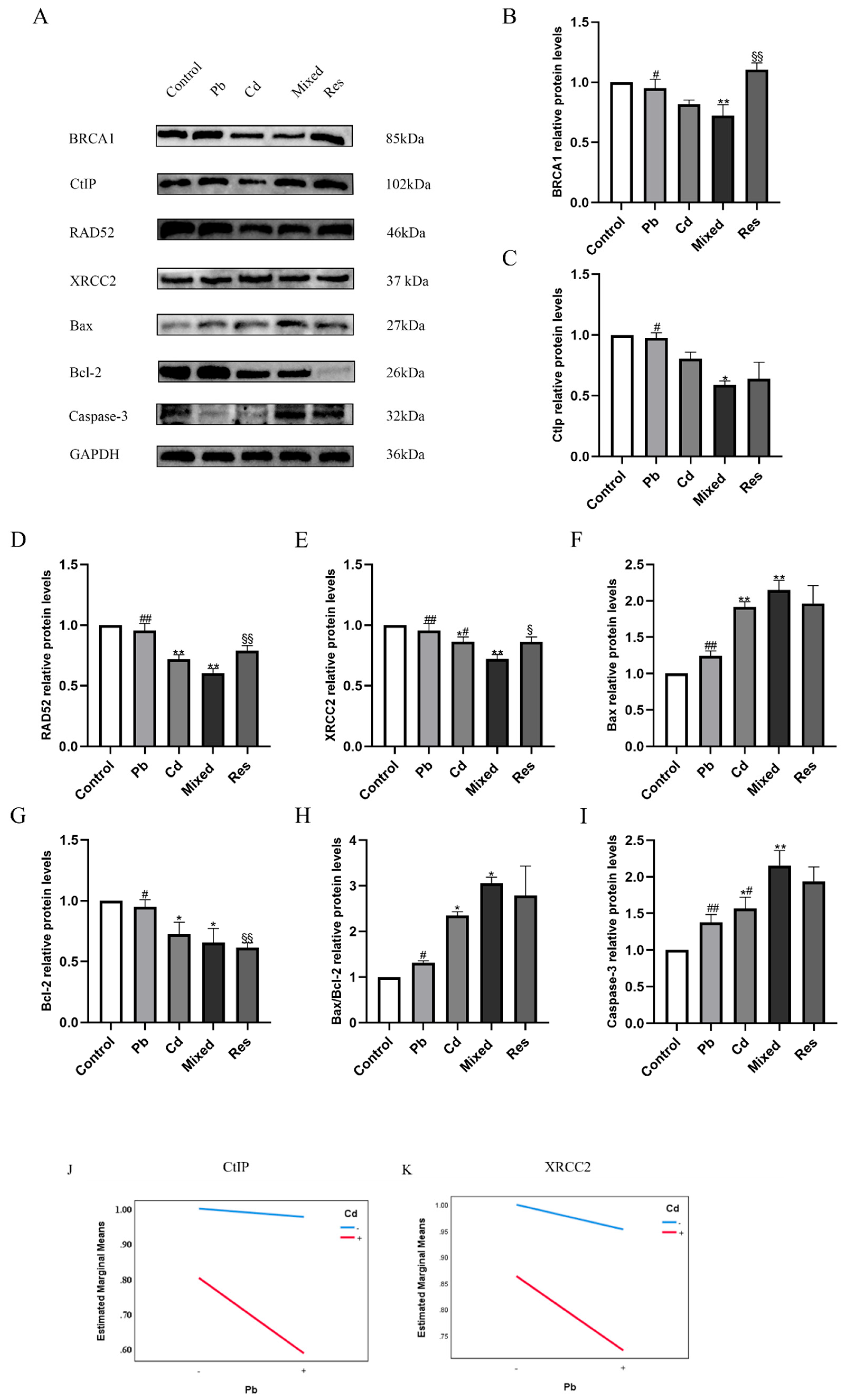 Preprints 198169 g006