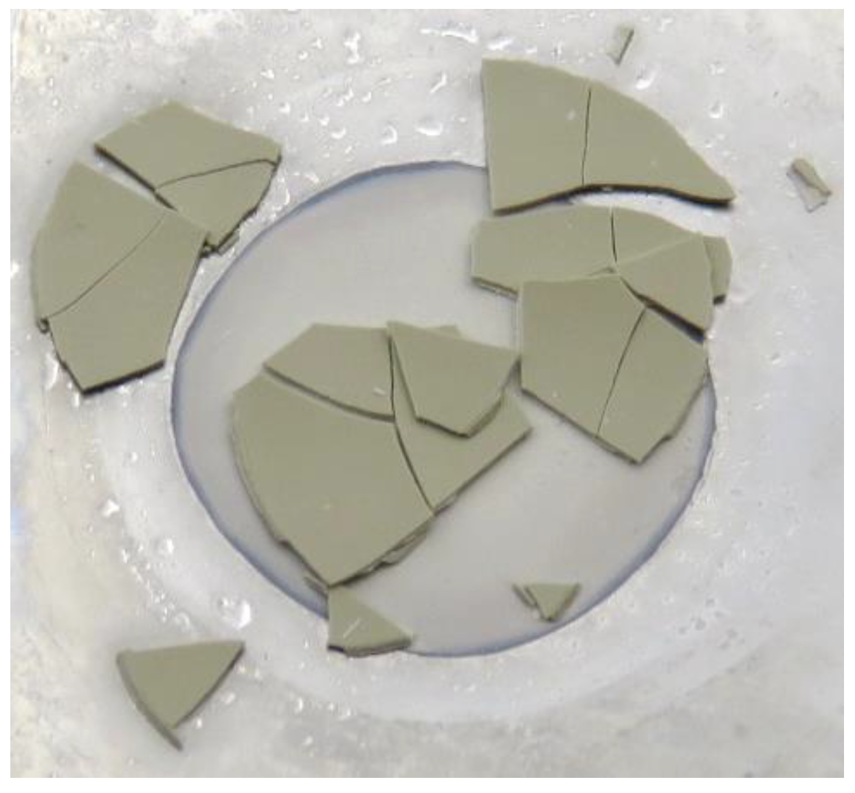 Preprints 202862 g004