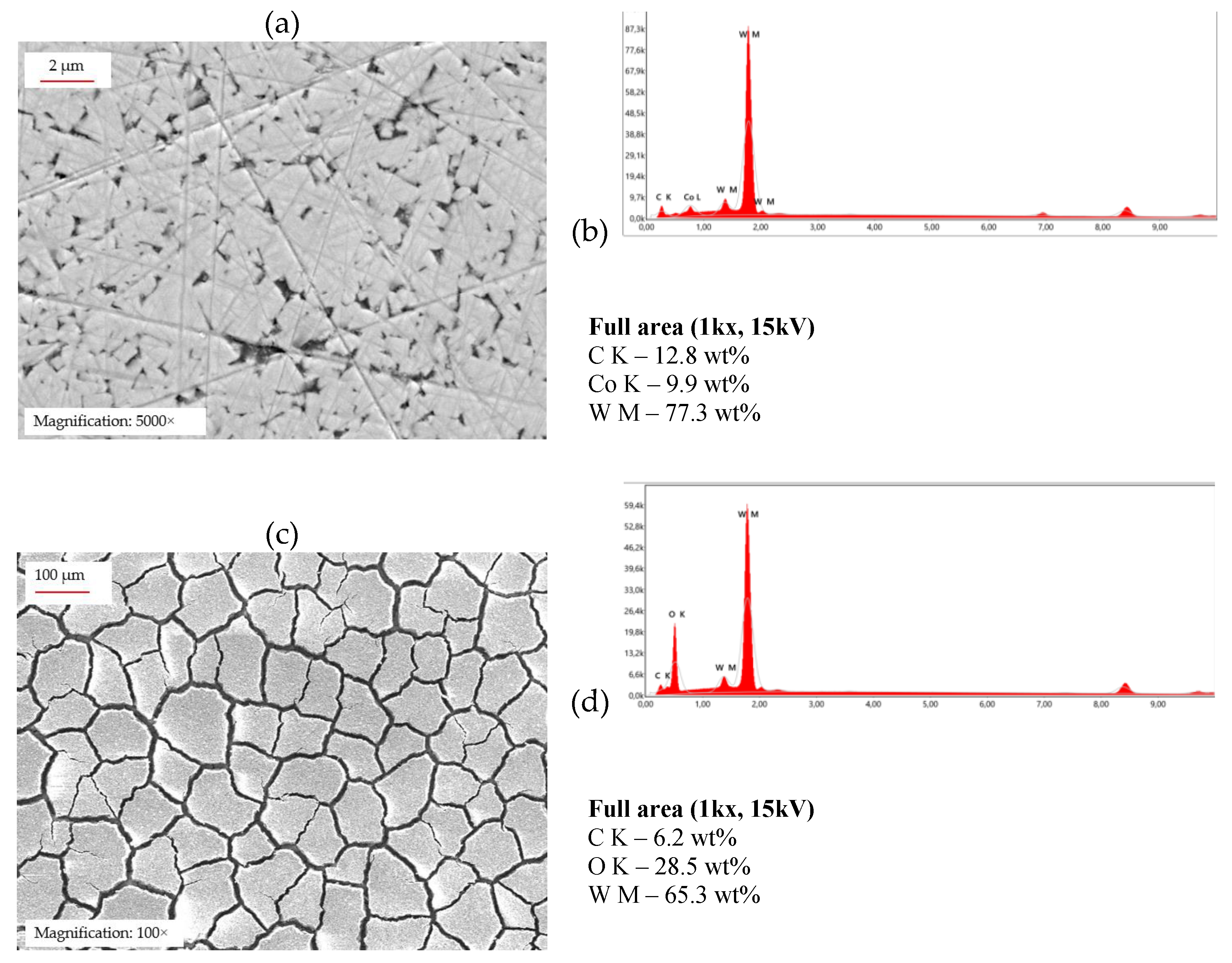 Preprints 202862 g005