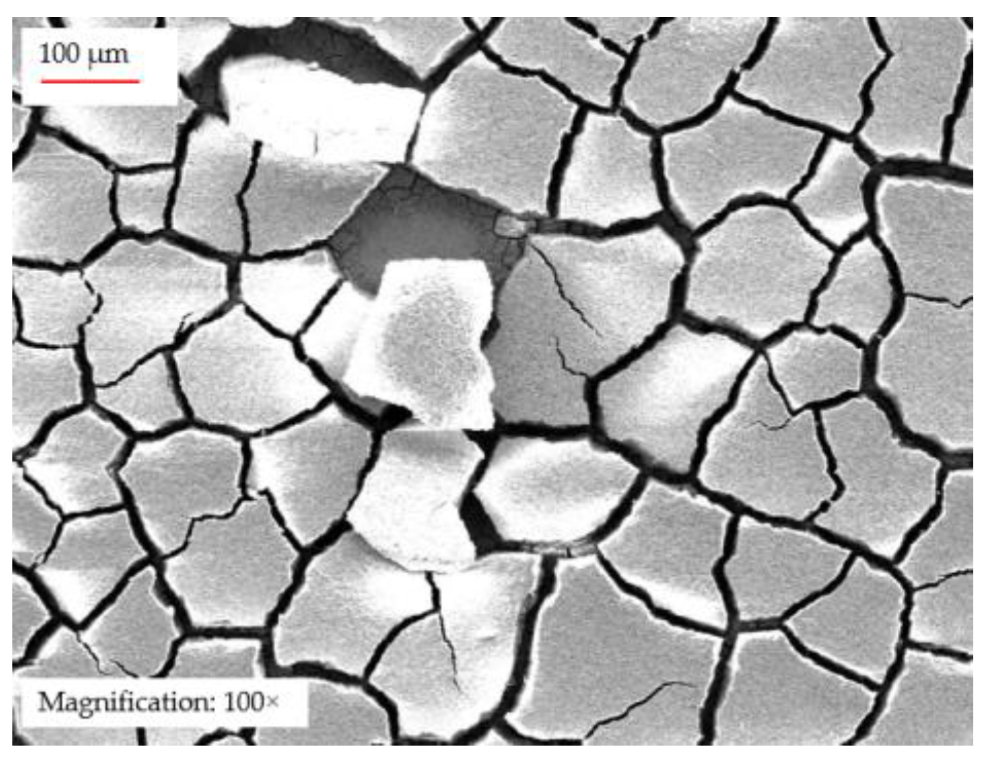 Preprints 202862 g006