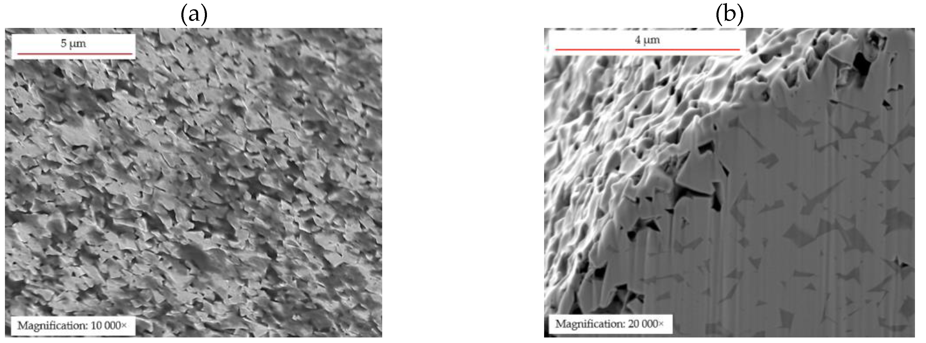 Preprints 202862 g007