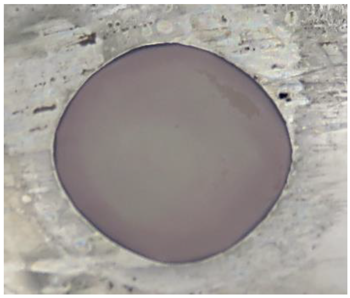 Preprints 202862 g008