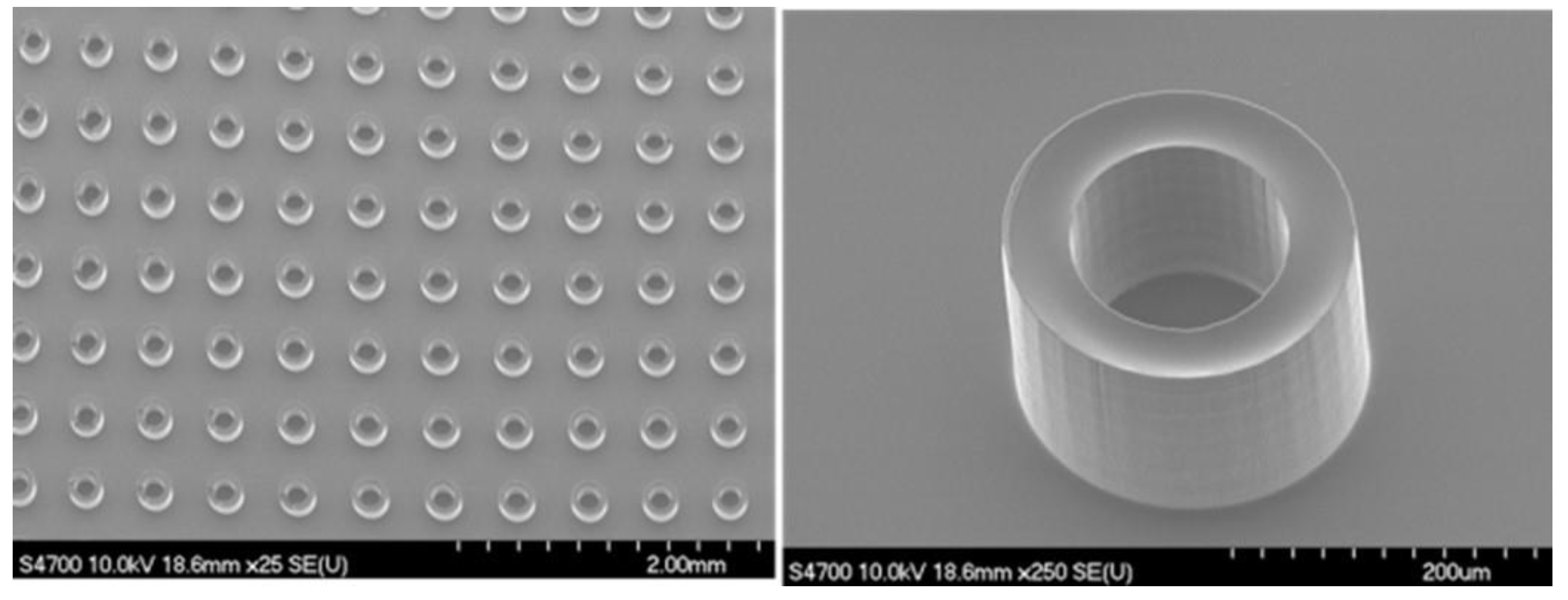 Preprints 142448 g001