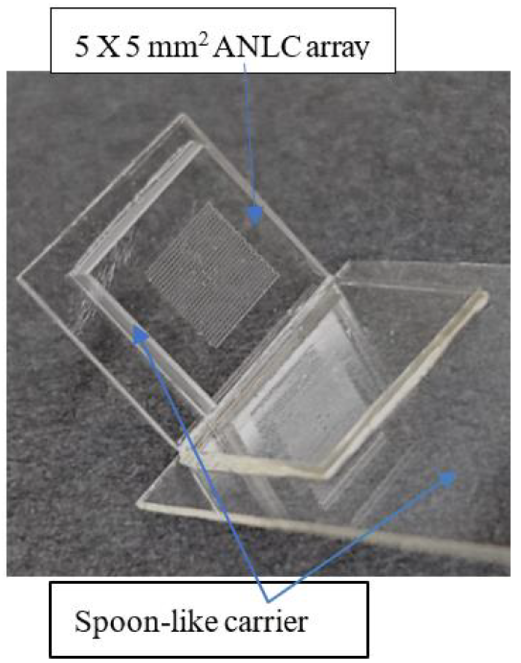 Preprints 142448 g002