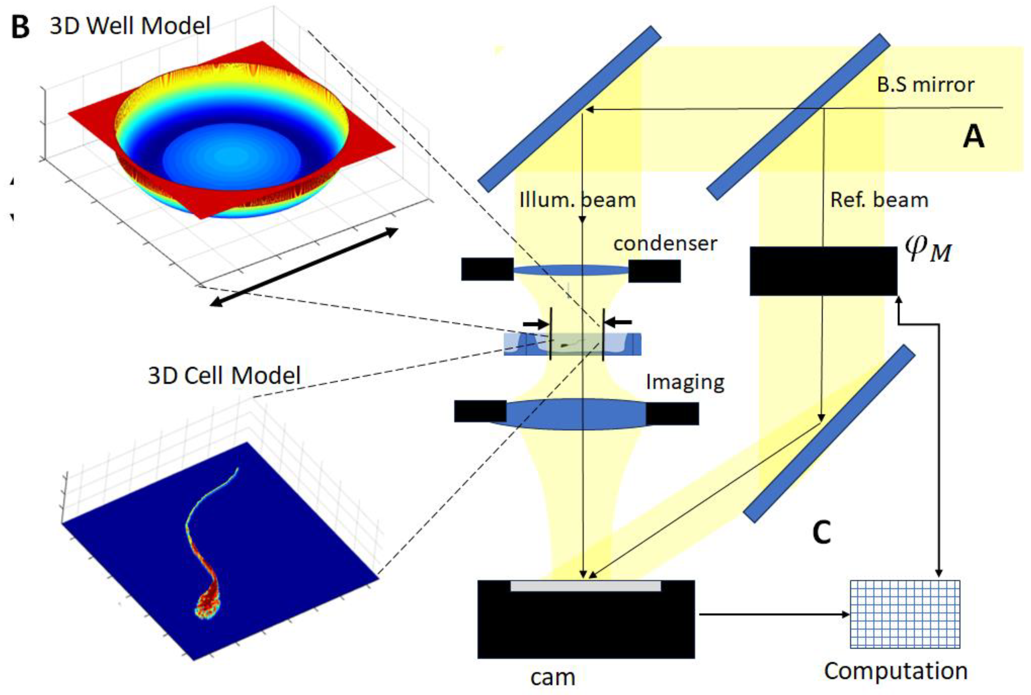 Preprints 142448 g003