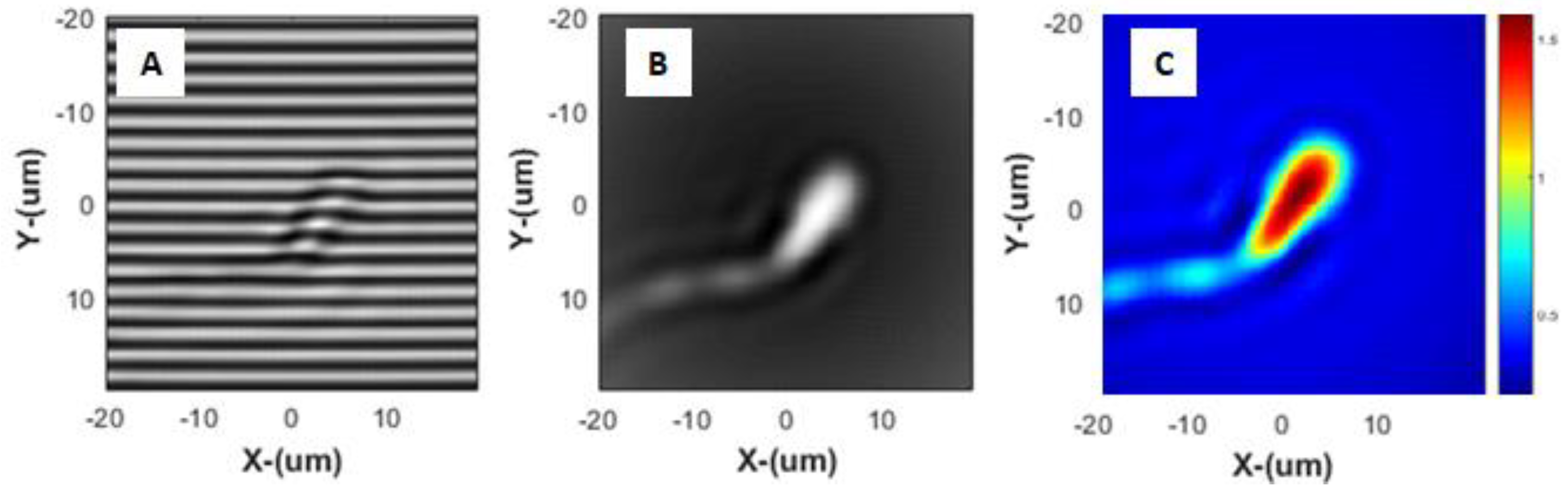 Preprints 142448 g004