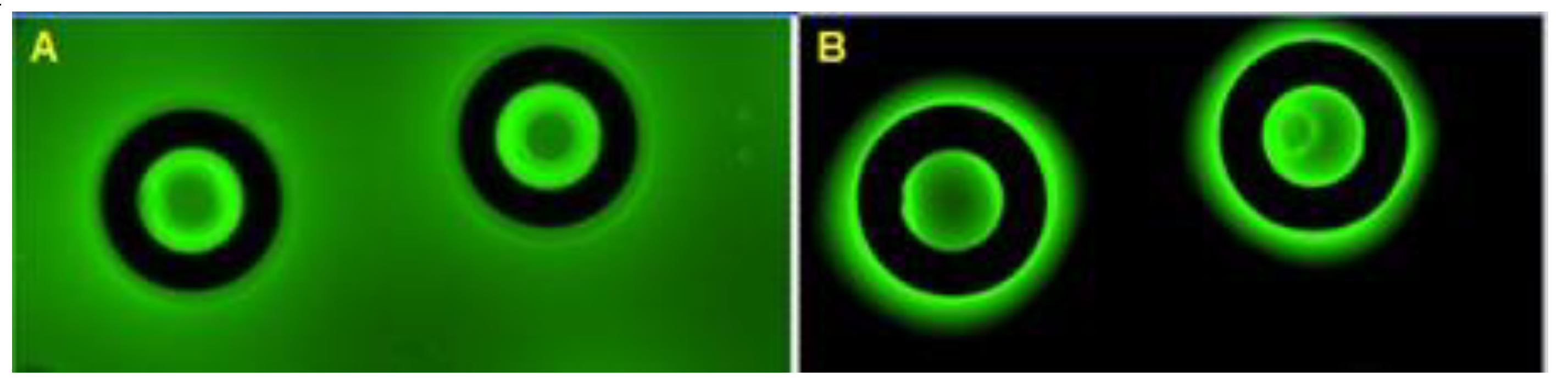 Preprints 142448 g007