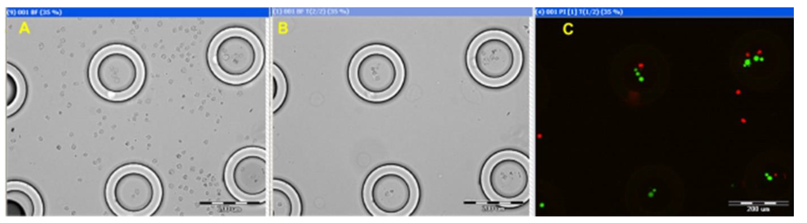 Preprints 142448 g008