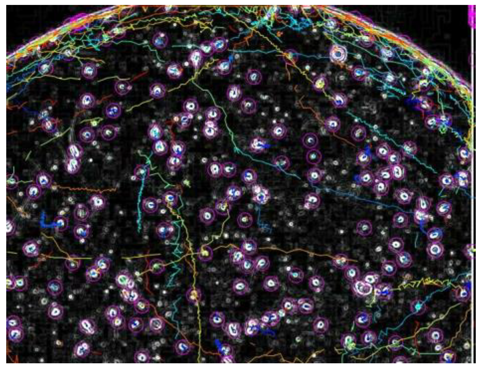 Preprints 142448 i002