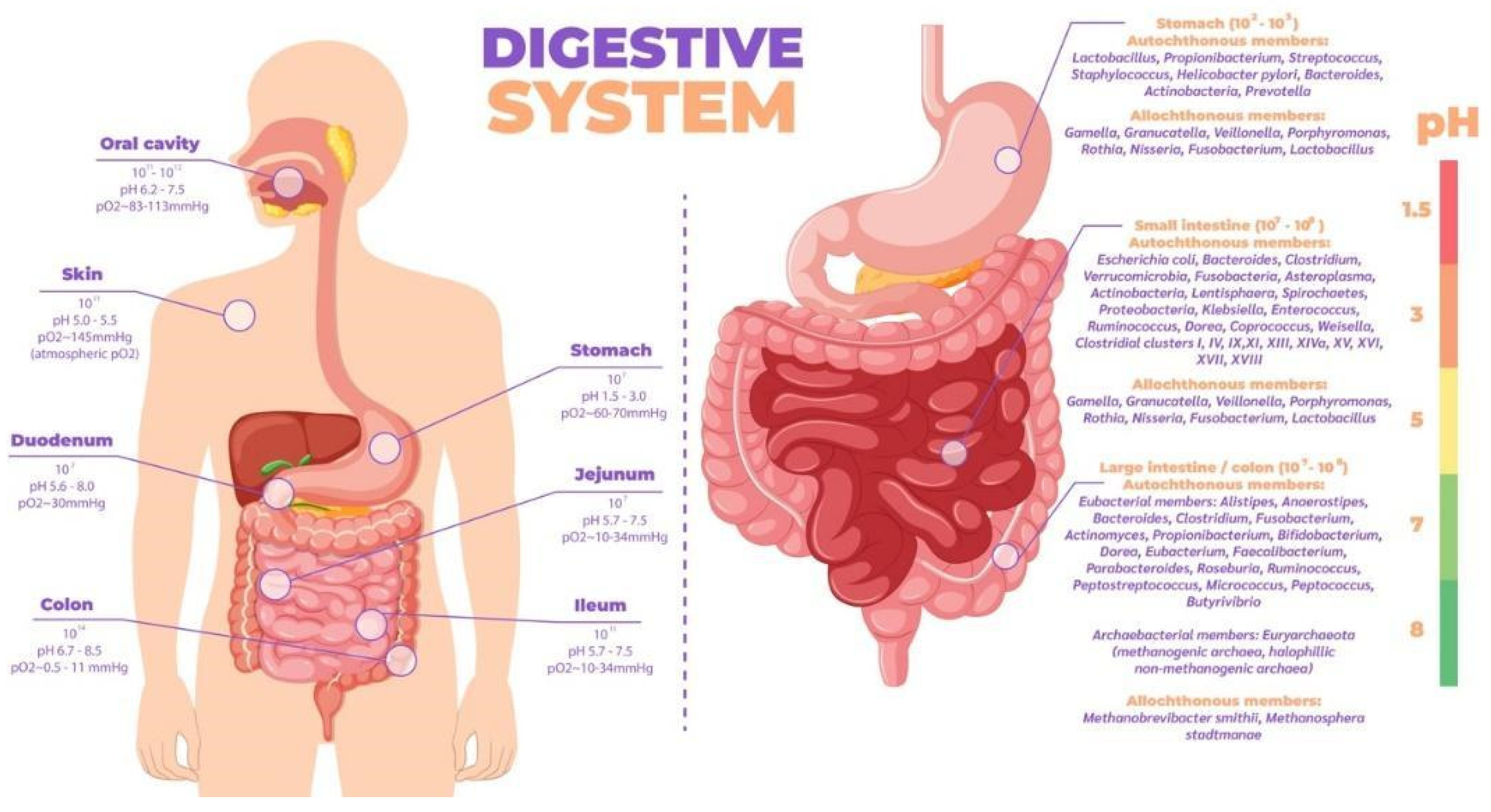Preprints 150455 g005