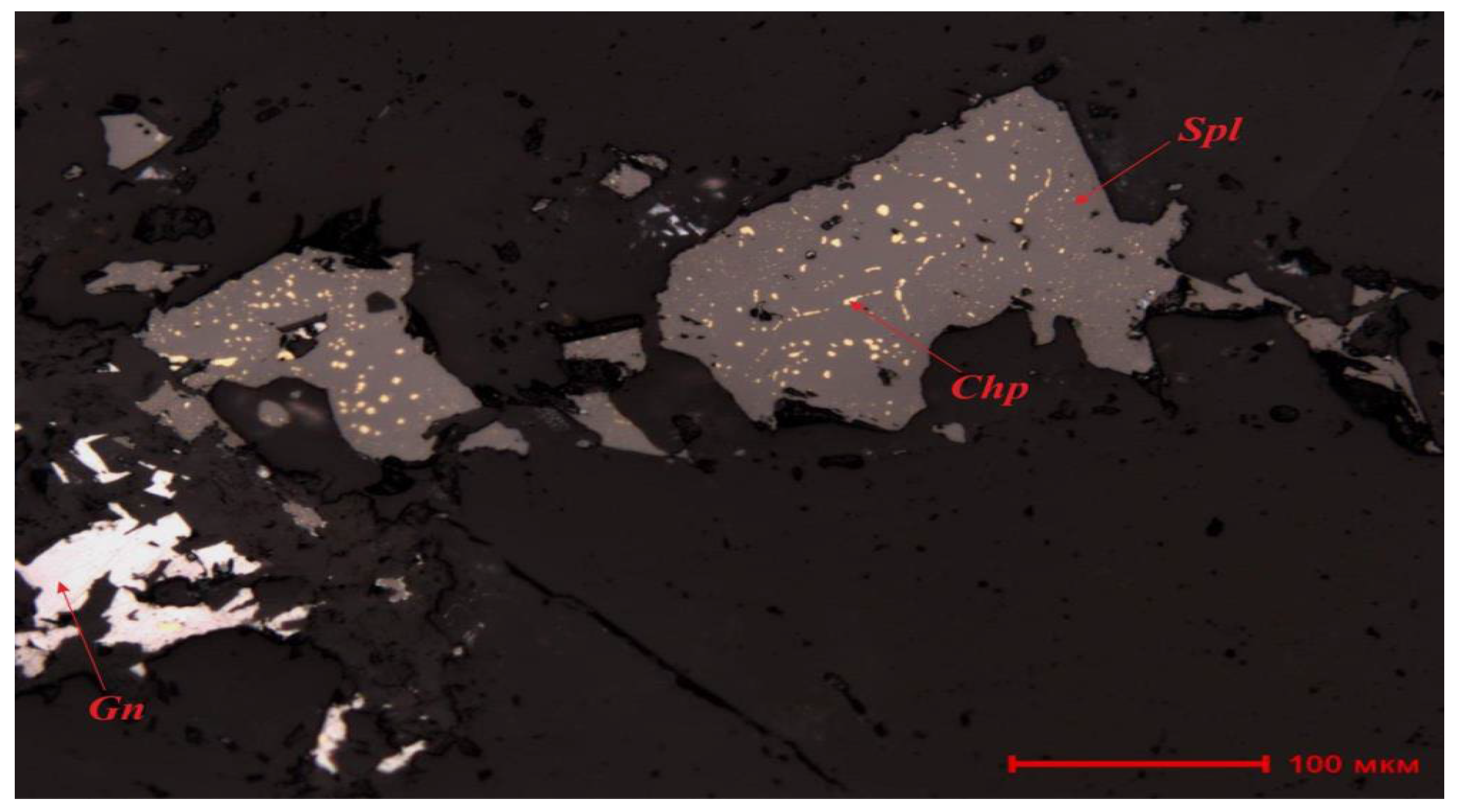 Preprints 153658 g002