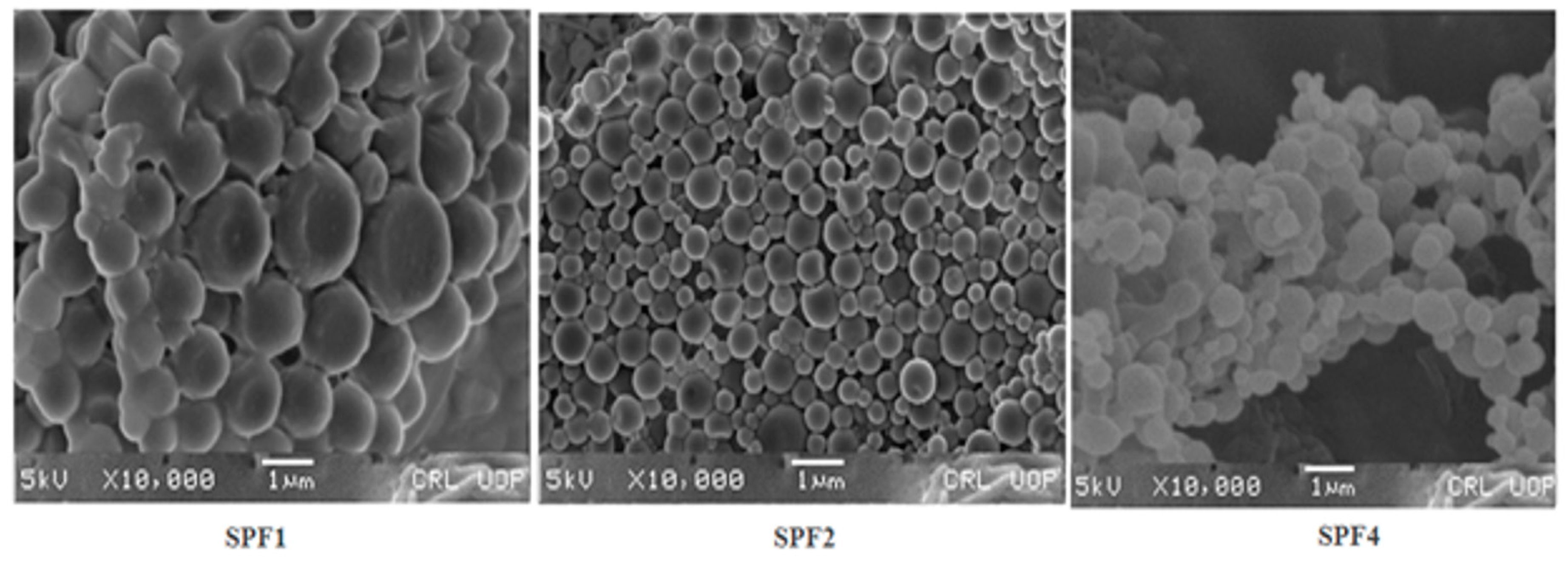 Preprints 82645 g002