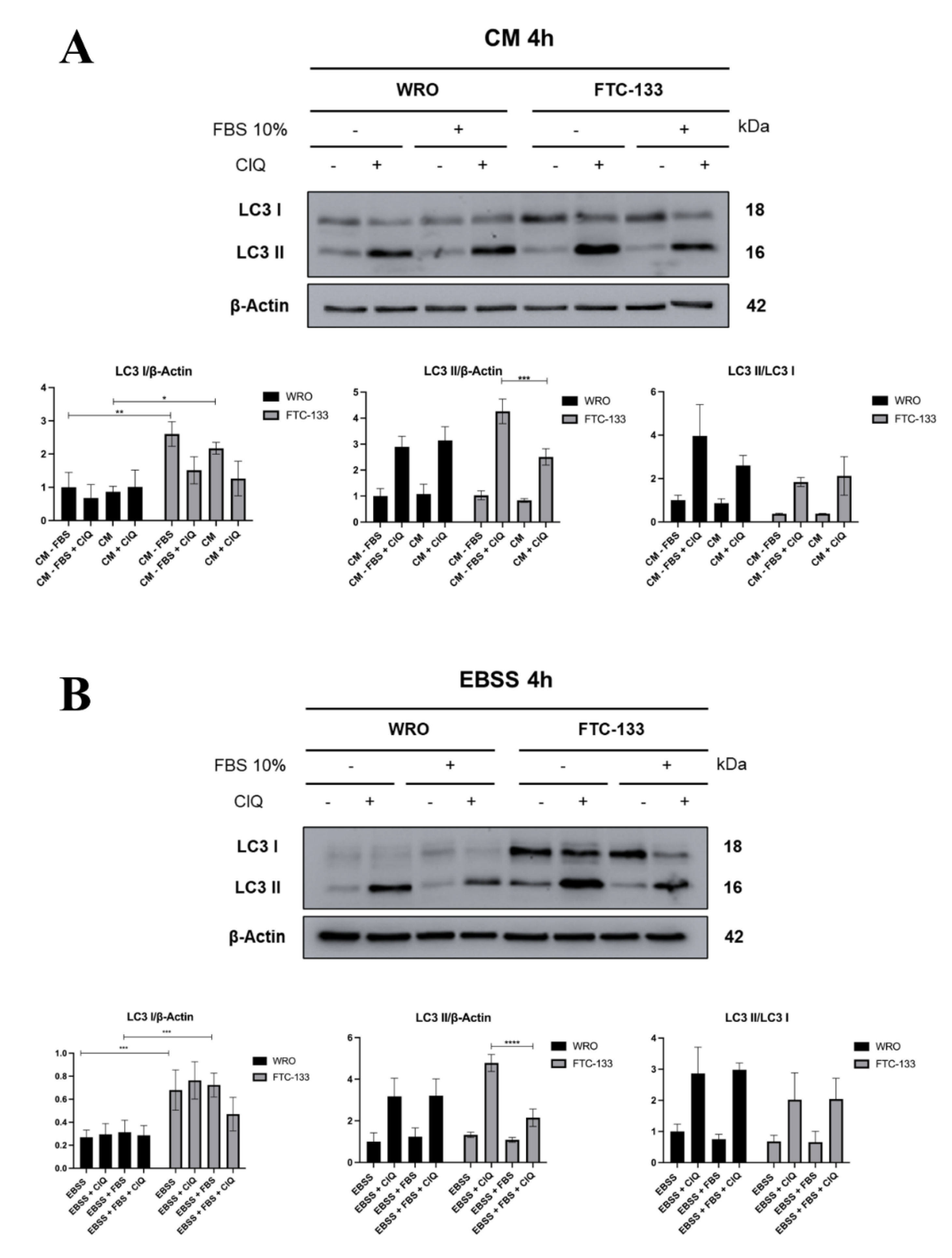 Preprints 198613 g001