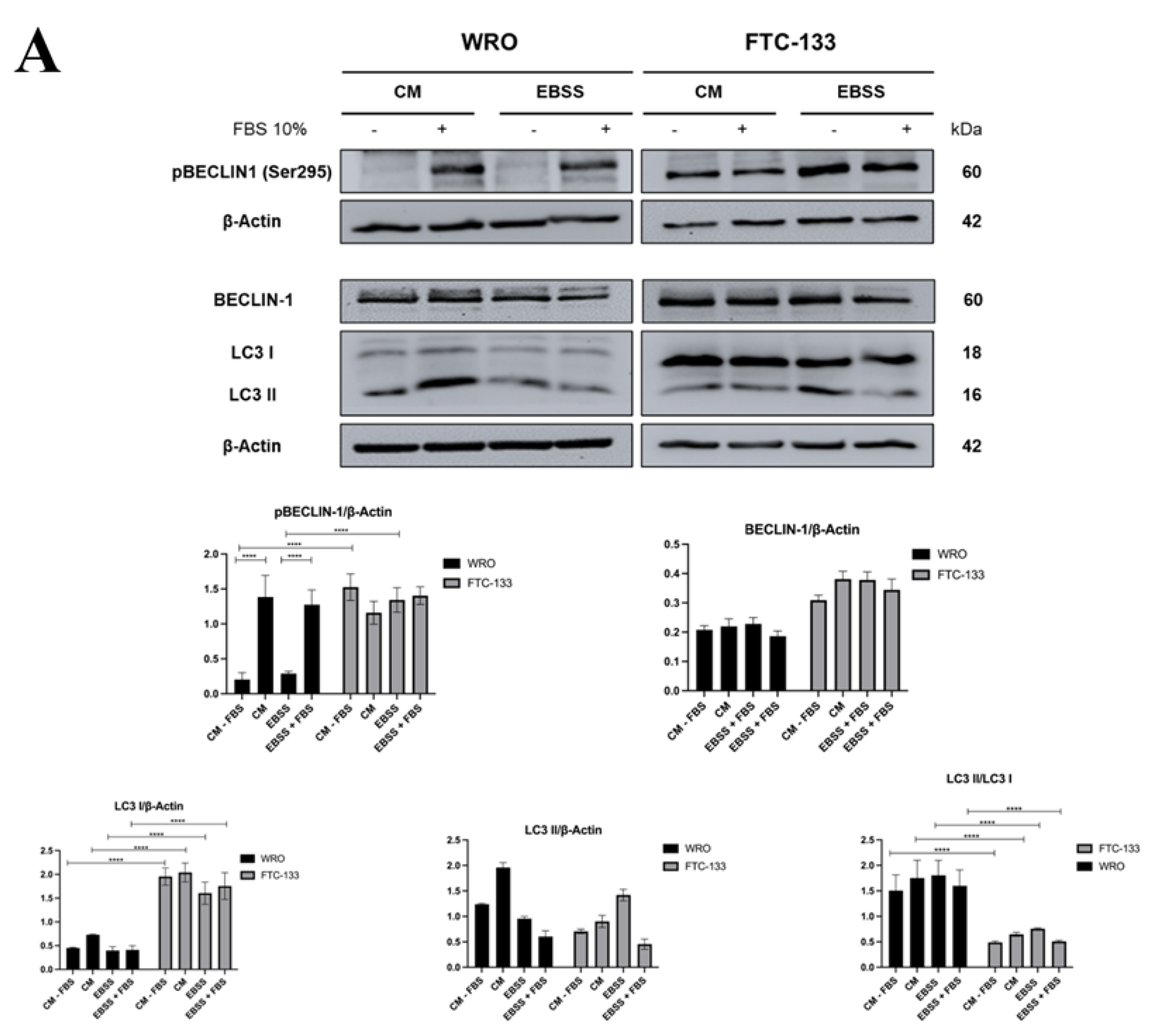 Preprints 198613 g002