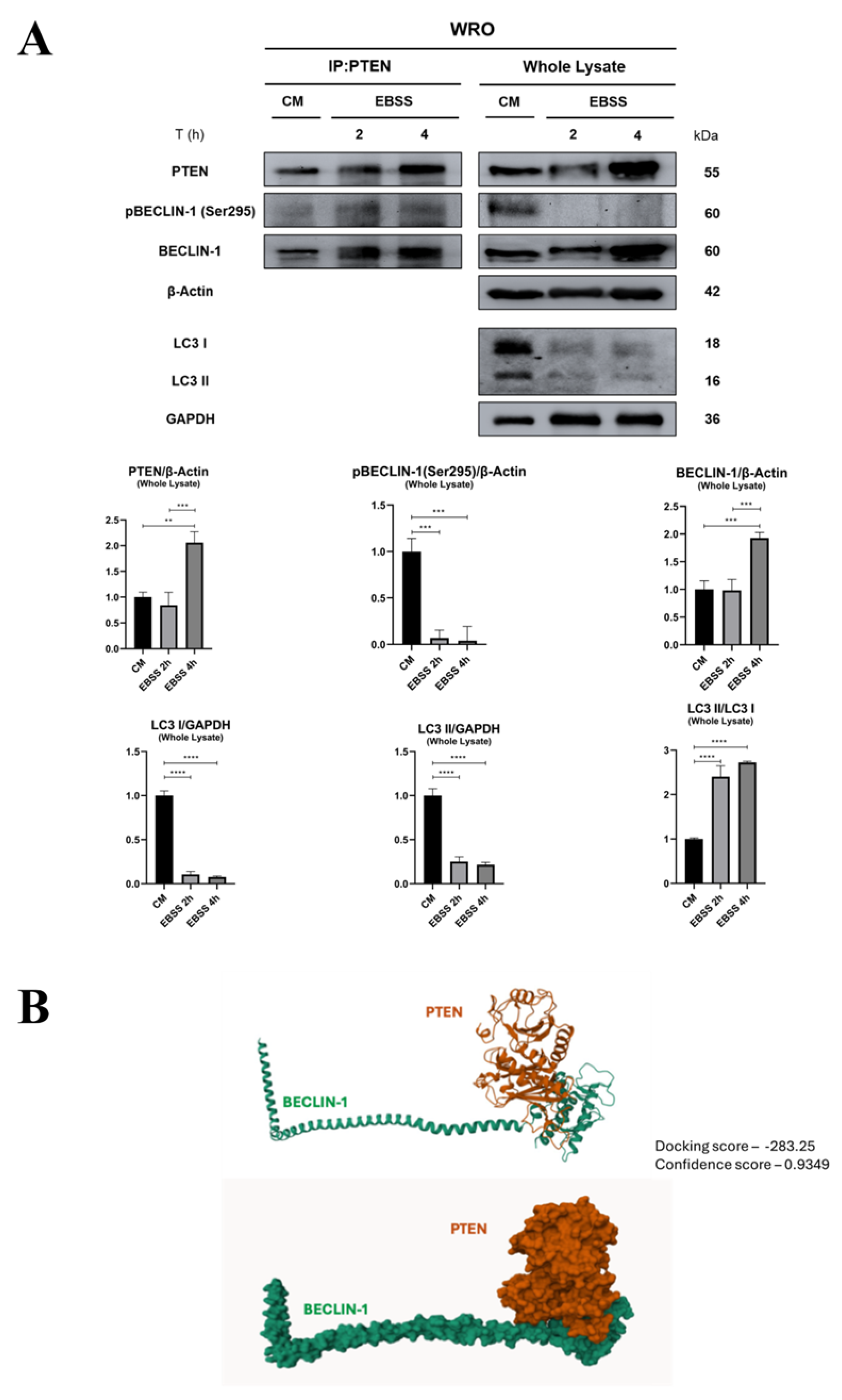 Preprints 198613 g003
