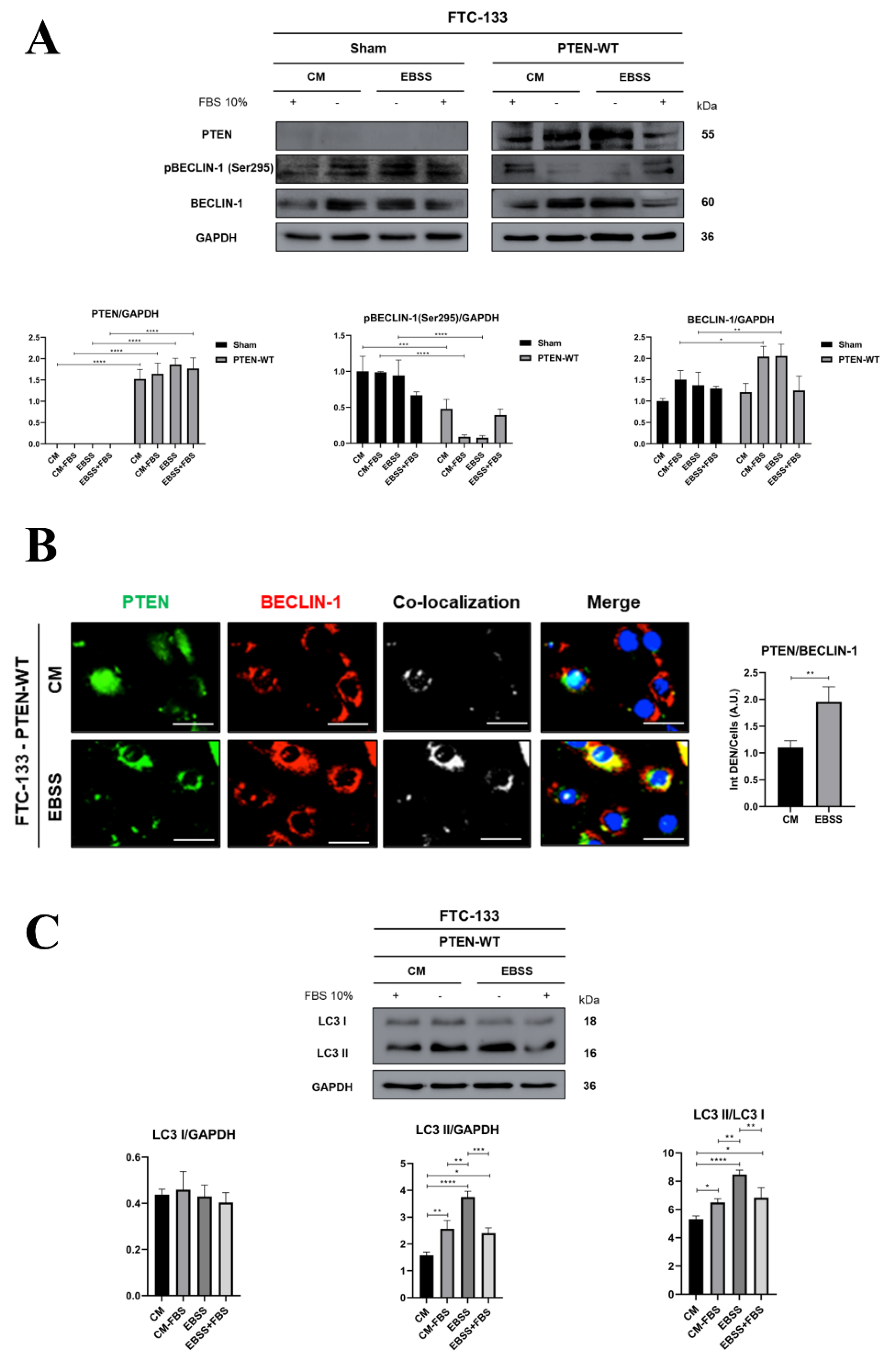 Preprints 198613 g004