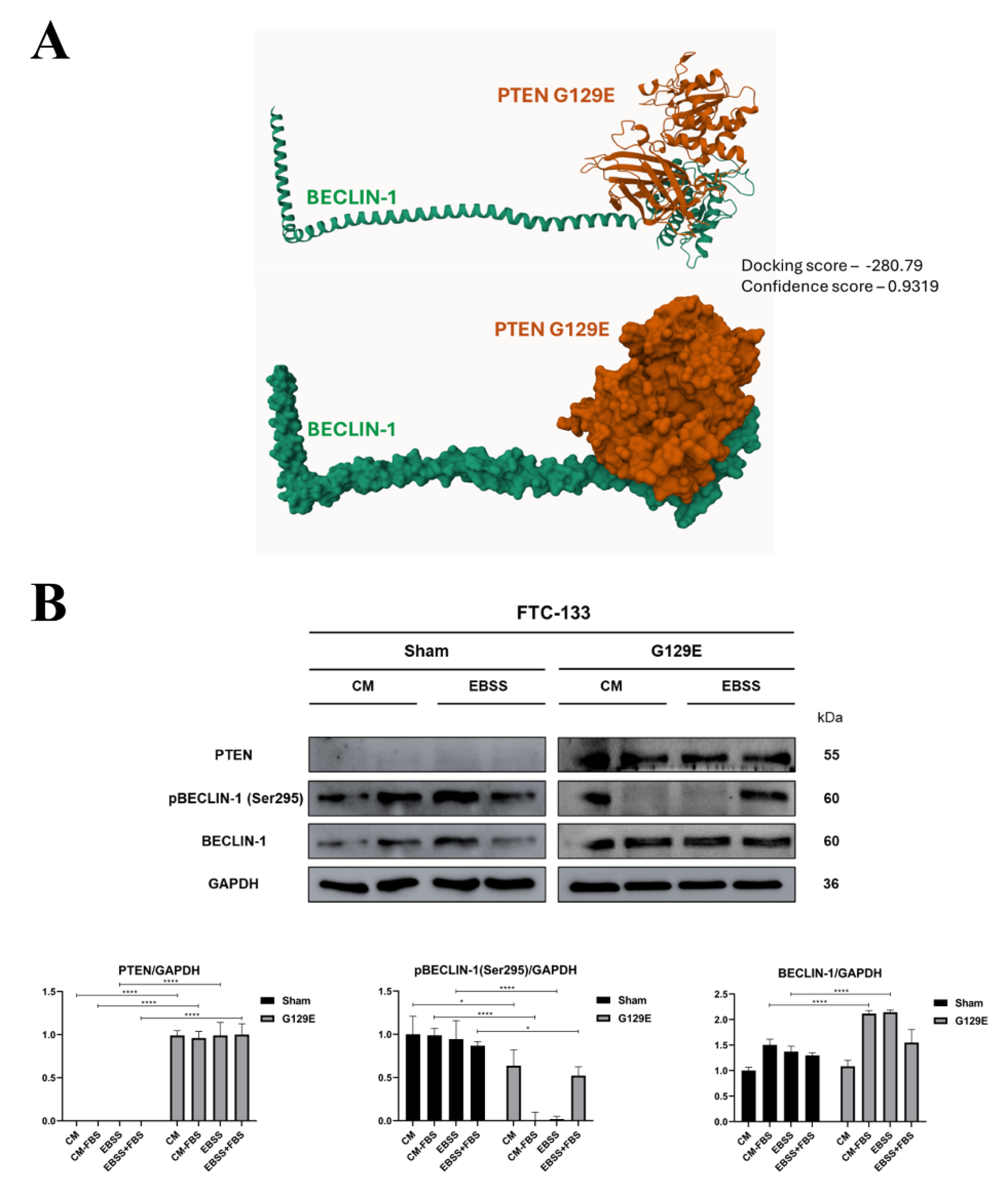 Preprints 198613 g005a
