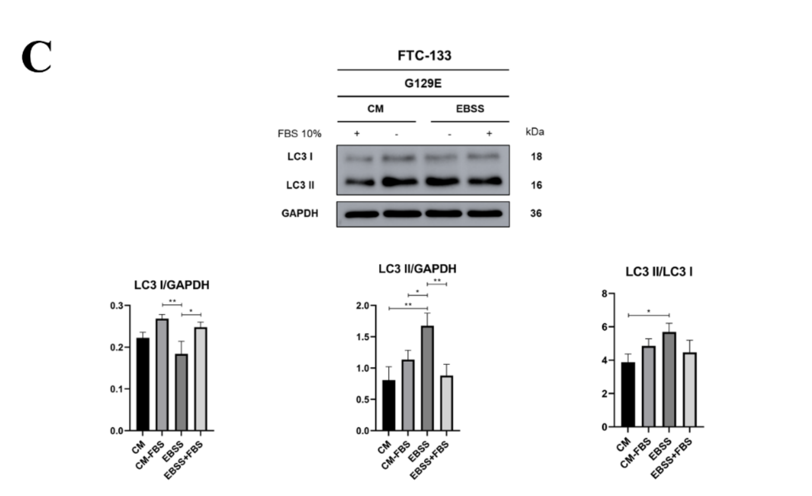 Preprints 198613 g005b