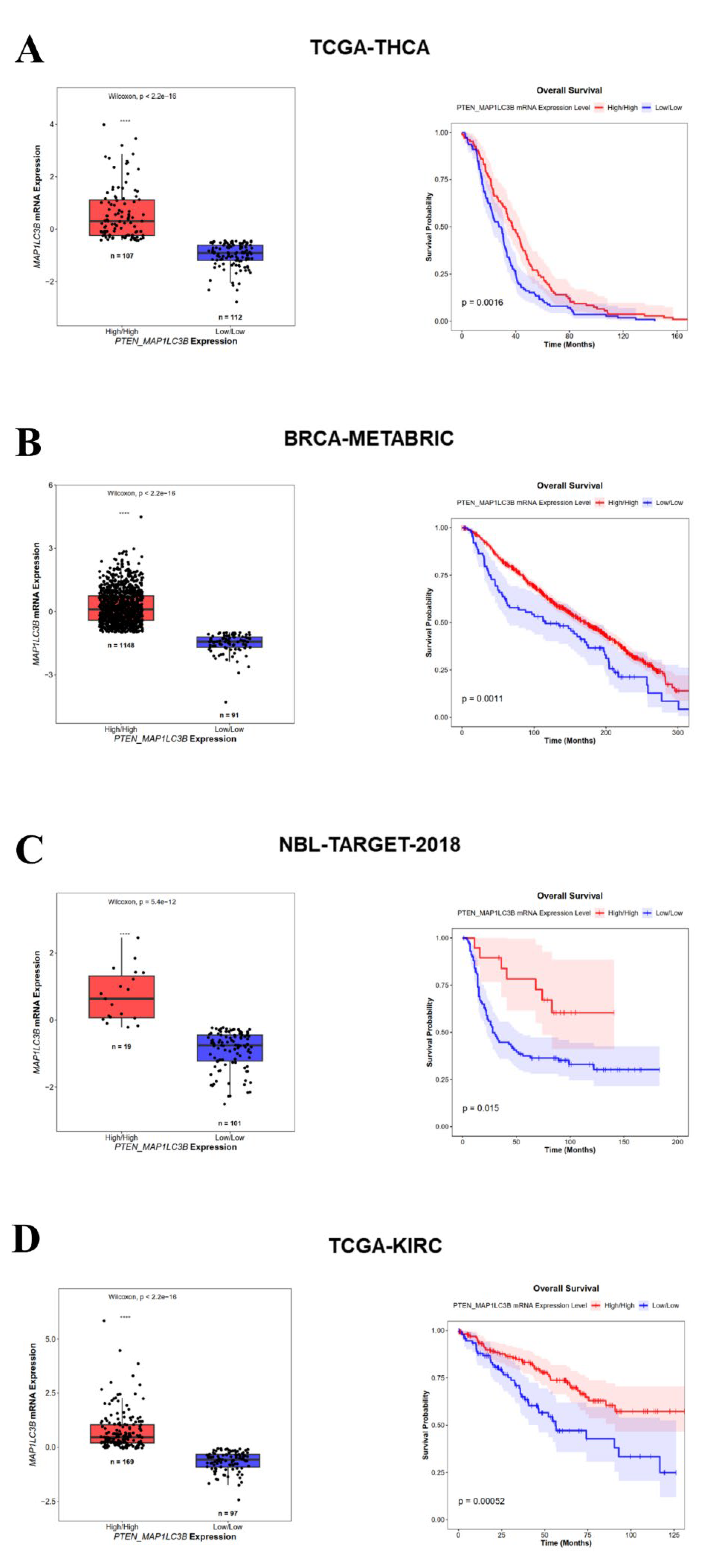 Preprints 198613 g006