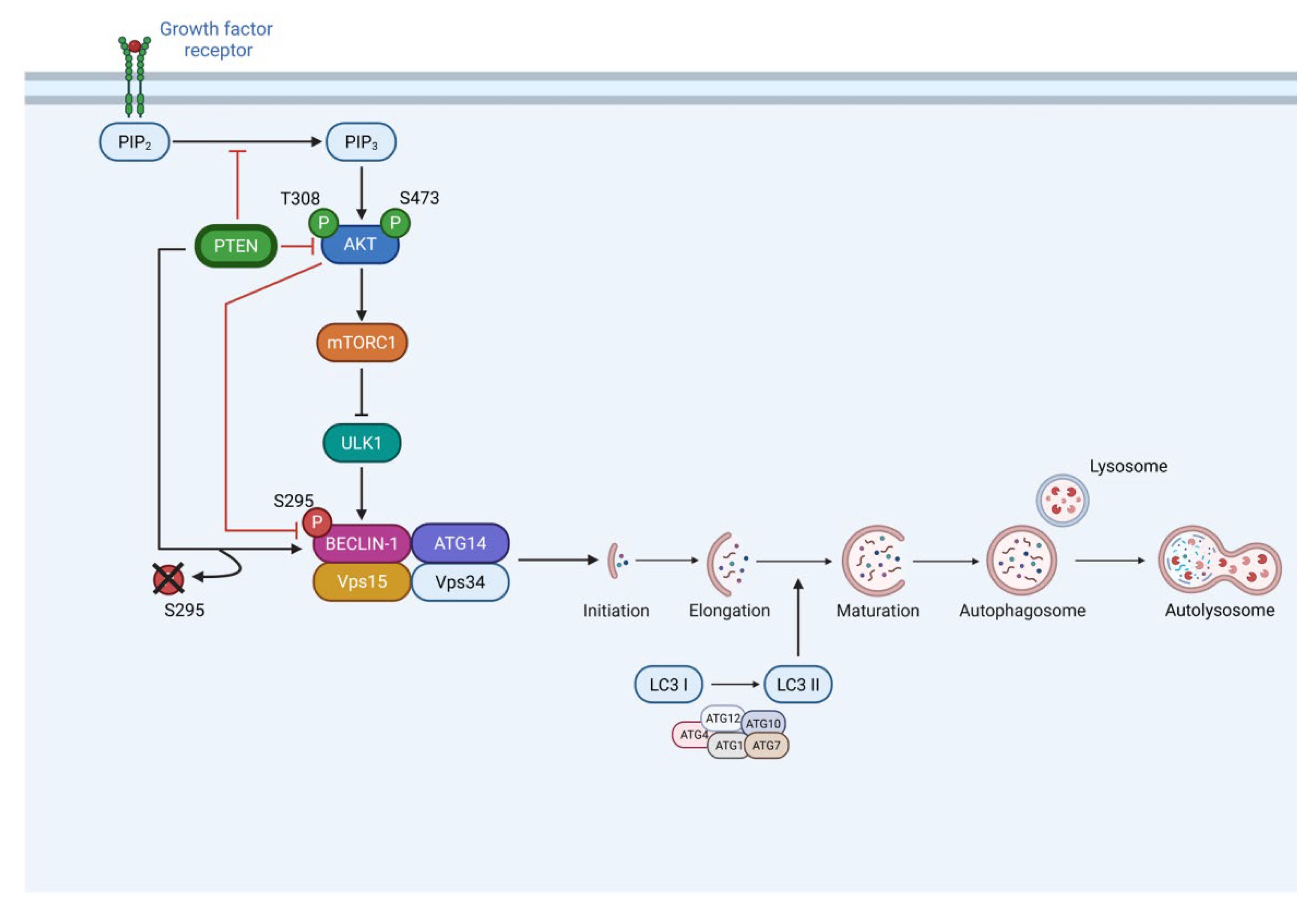 Preprints 198613 g007