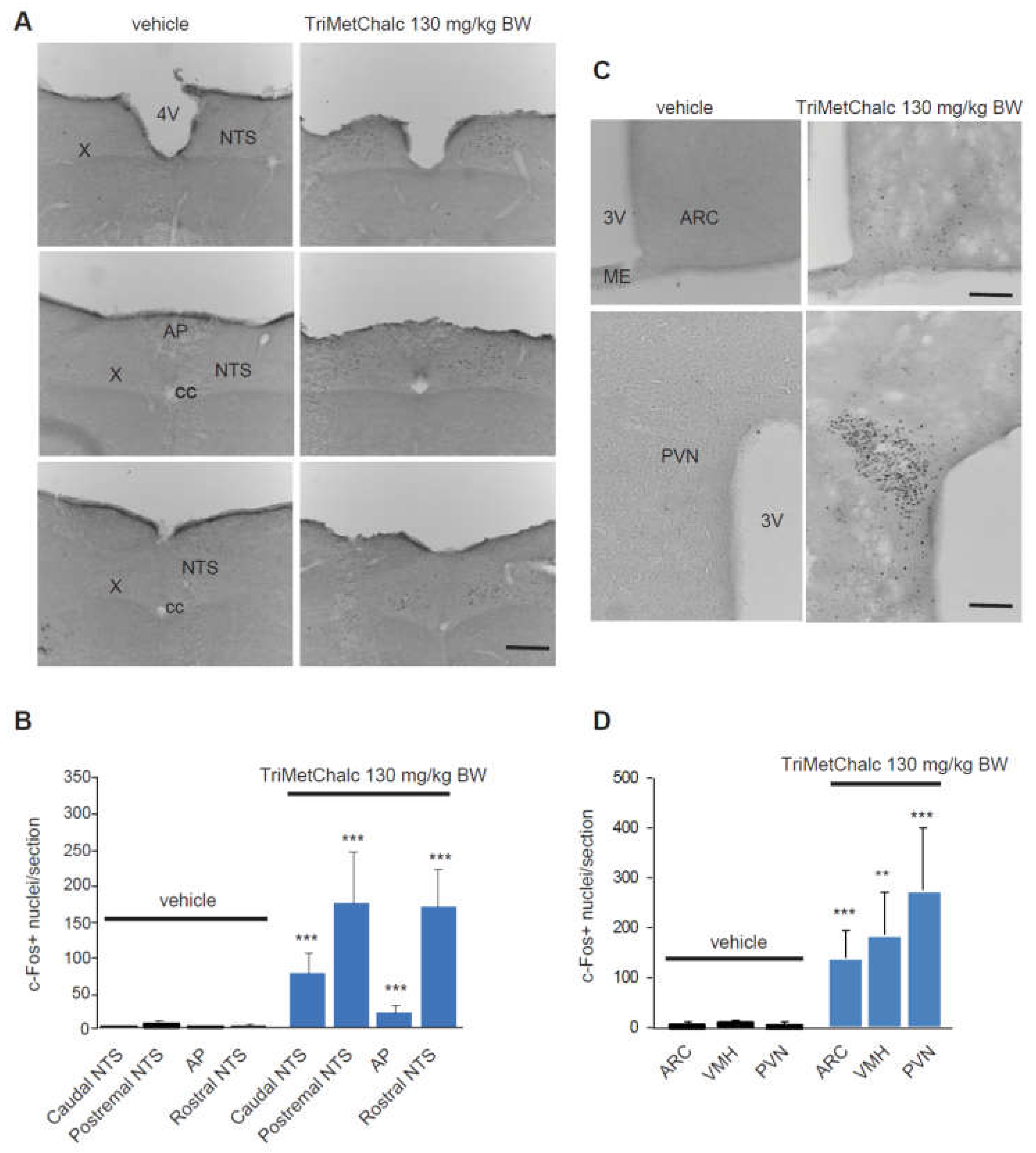 Preprints 112747 g003