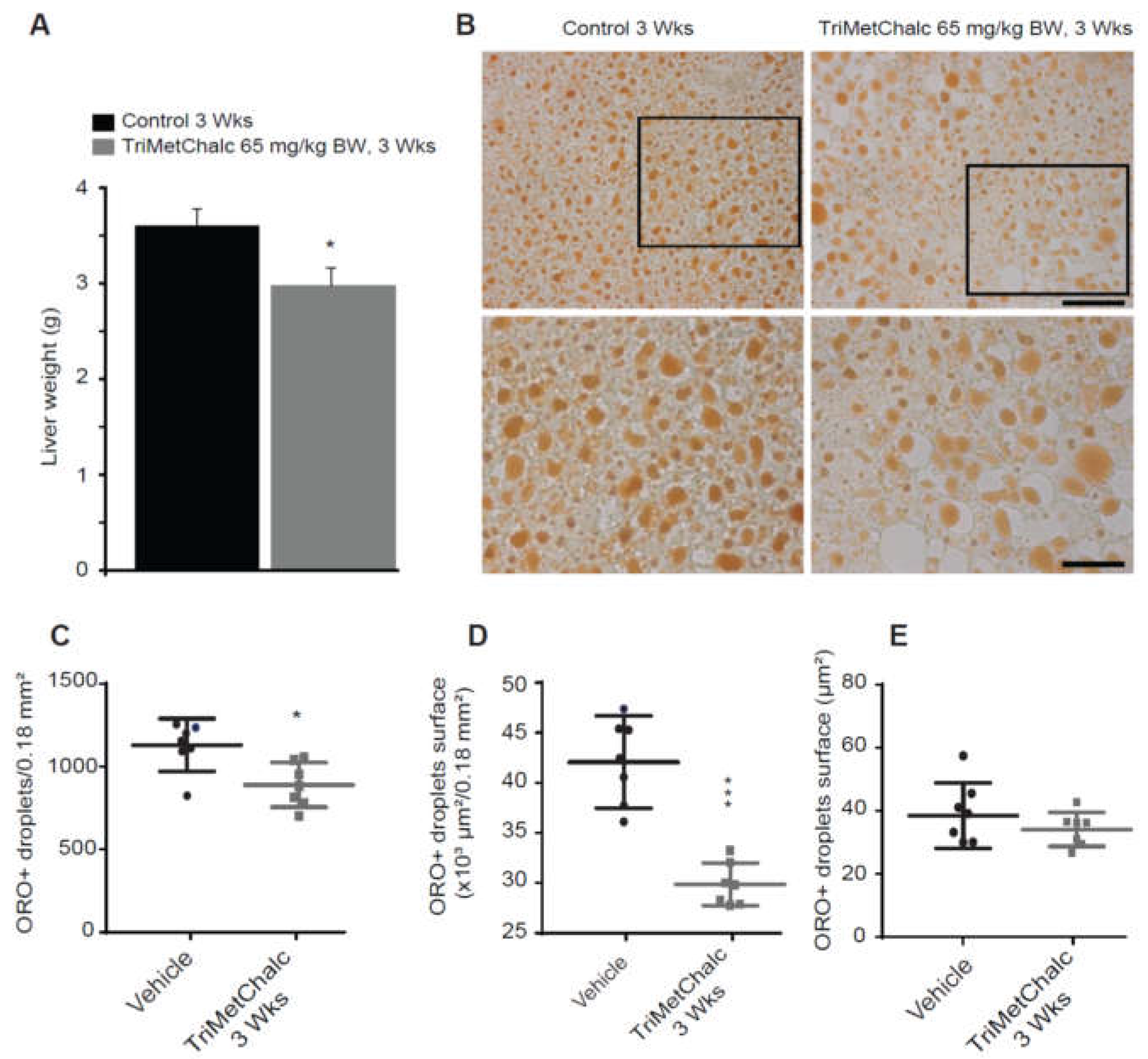 Preprints 112747 g007