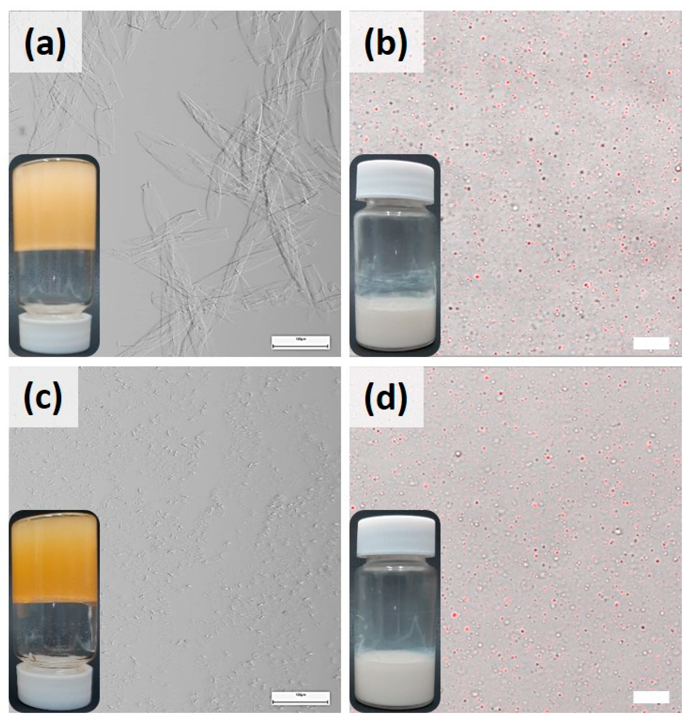 Preprints 97506 g004