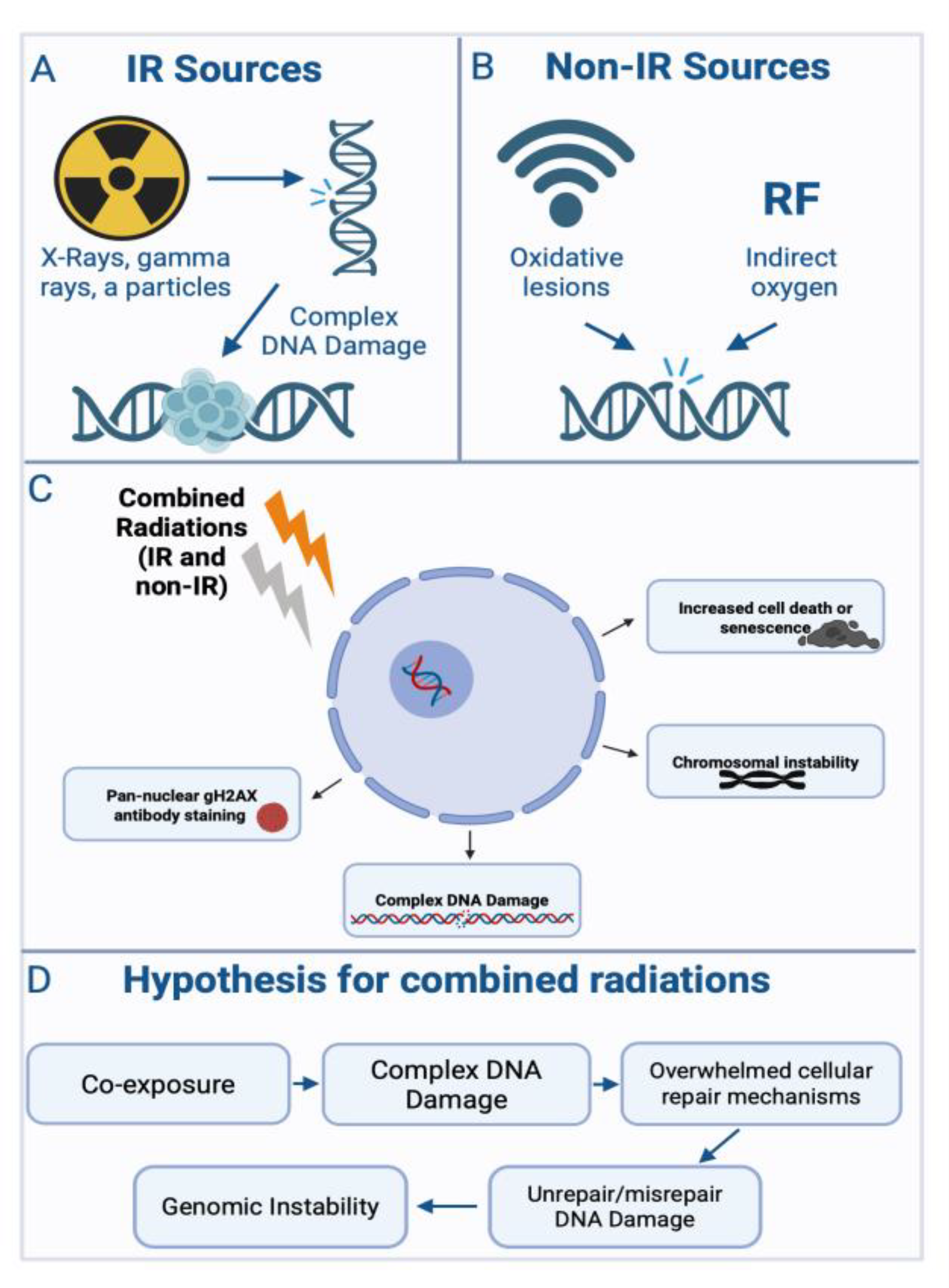Preprints 164995 g001