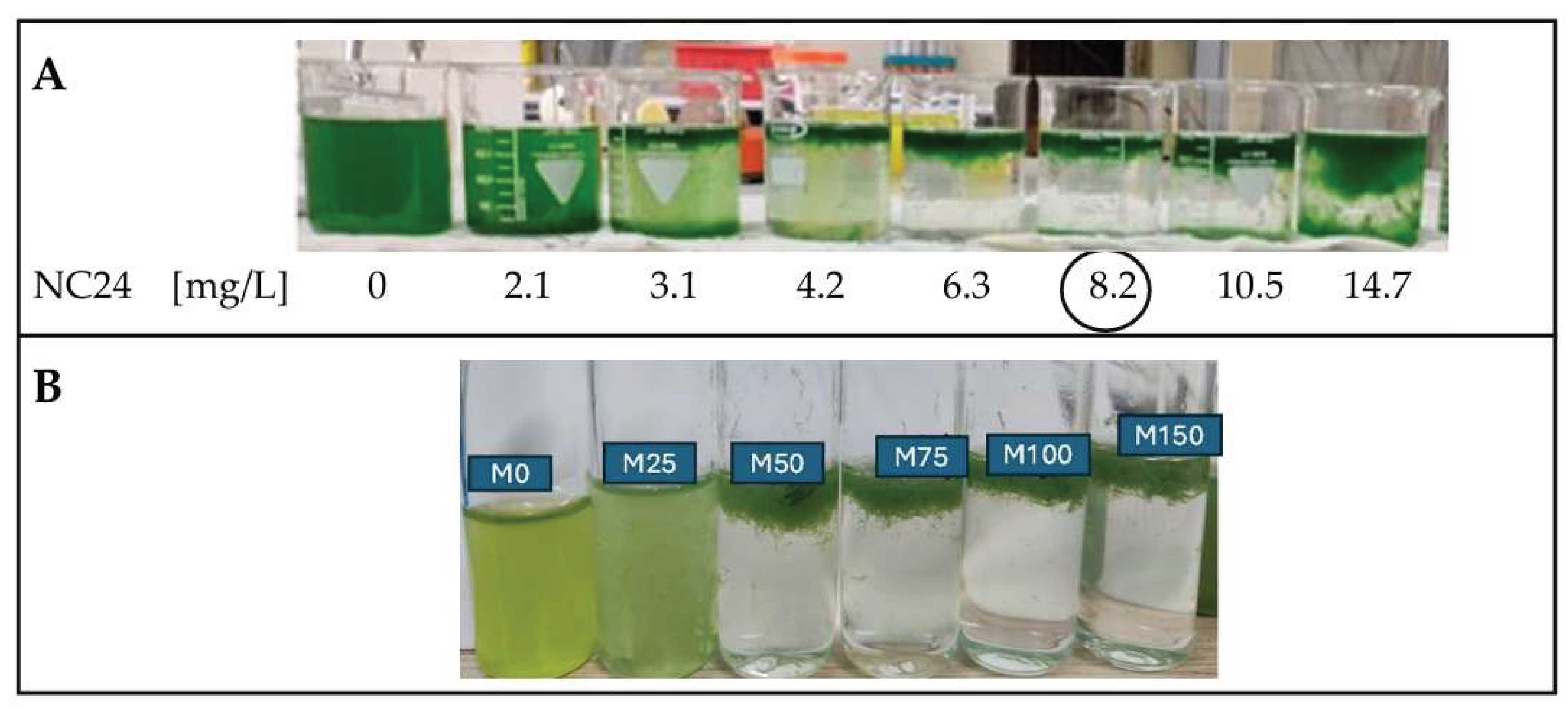 Preprints 208800 g002