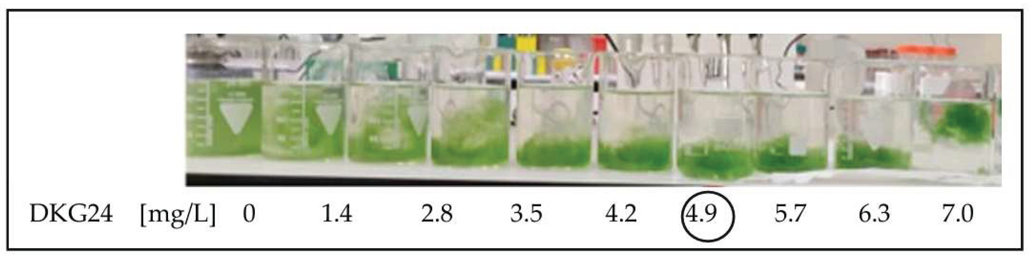Preprints 208800 g004
