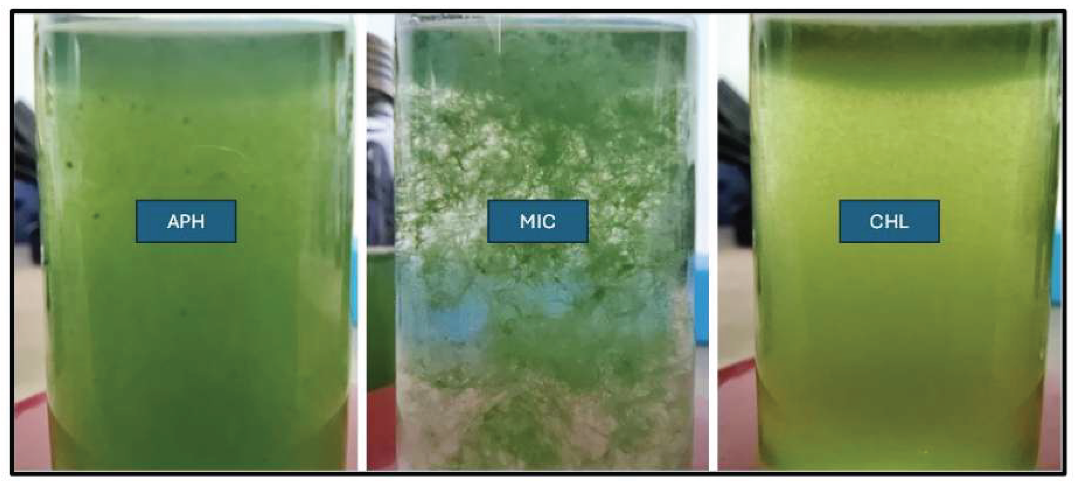 Preprints 208800 g007